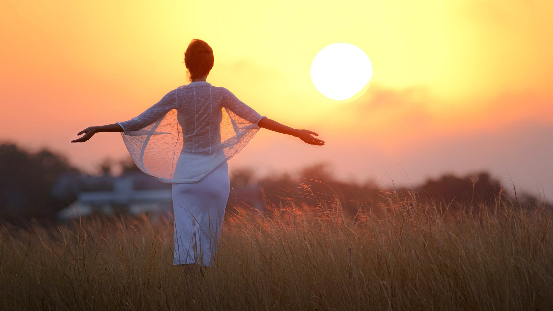 夕阳 美女 白纱 模特 风景 草地 郊外