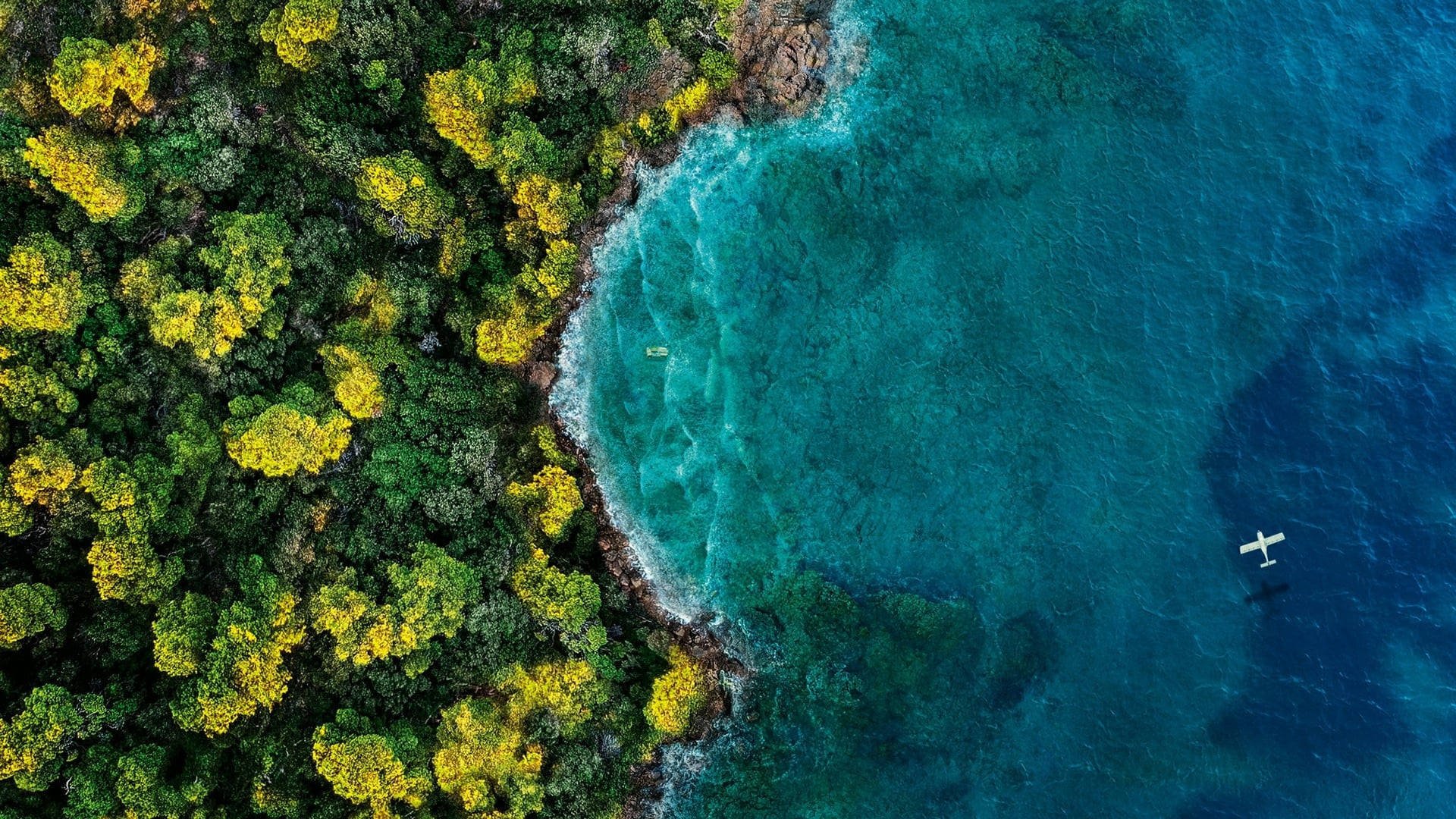 海洋天堂 航拍 树林 海岸 飞机