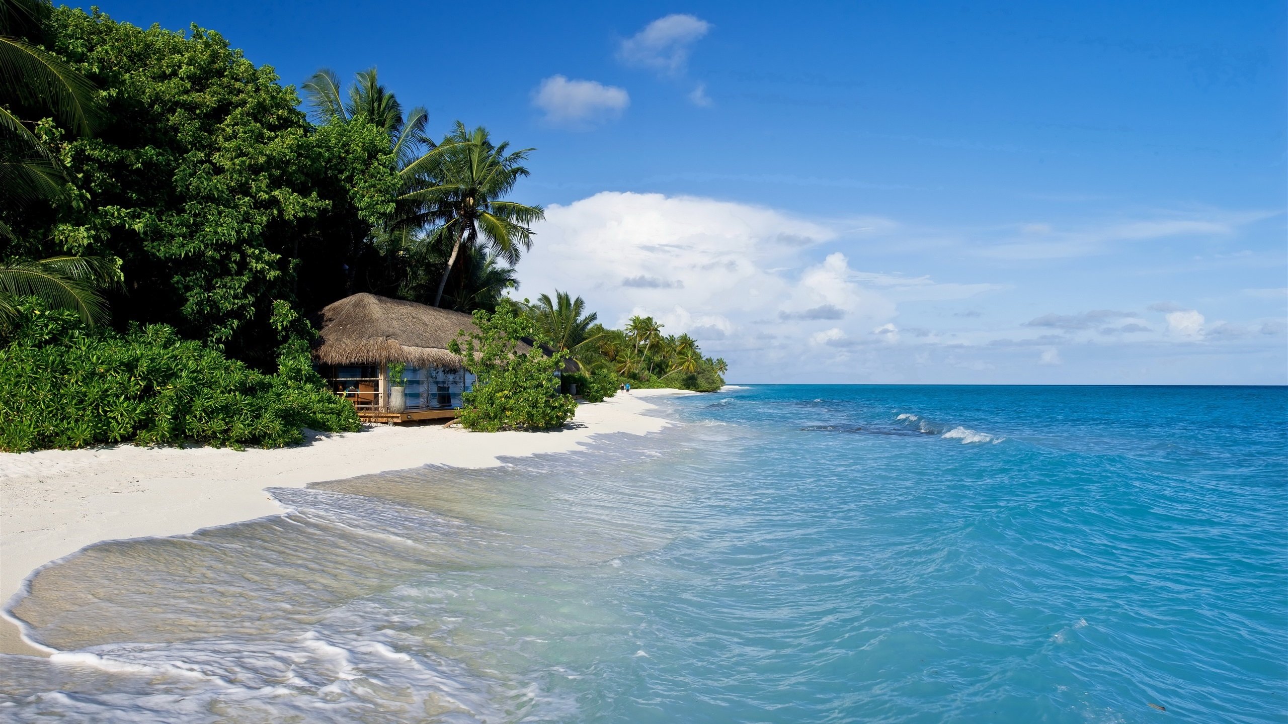 海洋天堂 蓝天 海浪 木屋 椰树