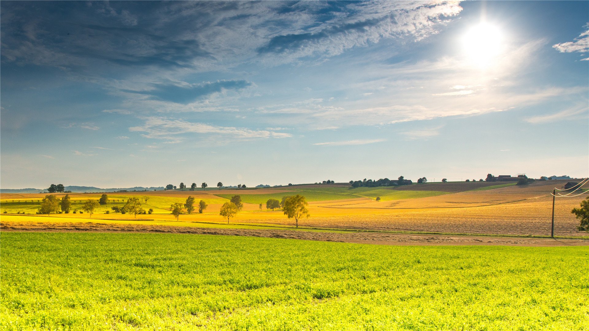 落日余晖 草原 太阳 深秋