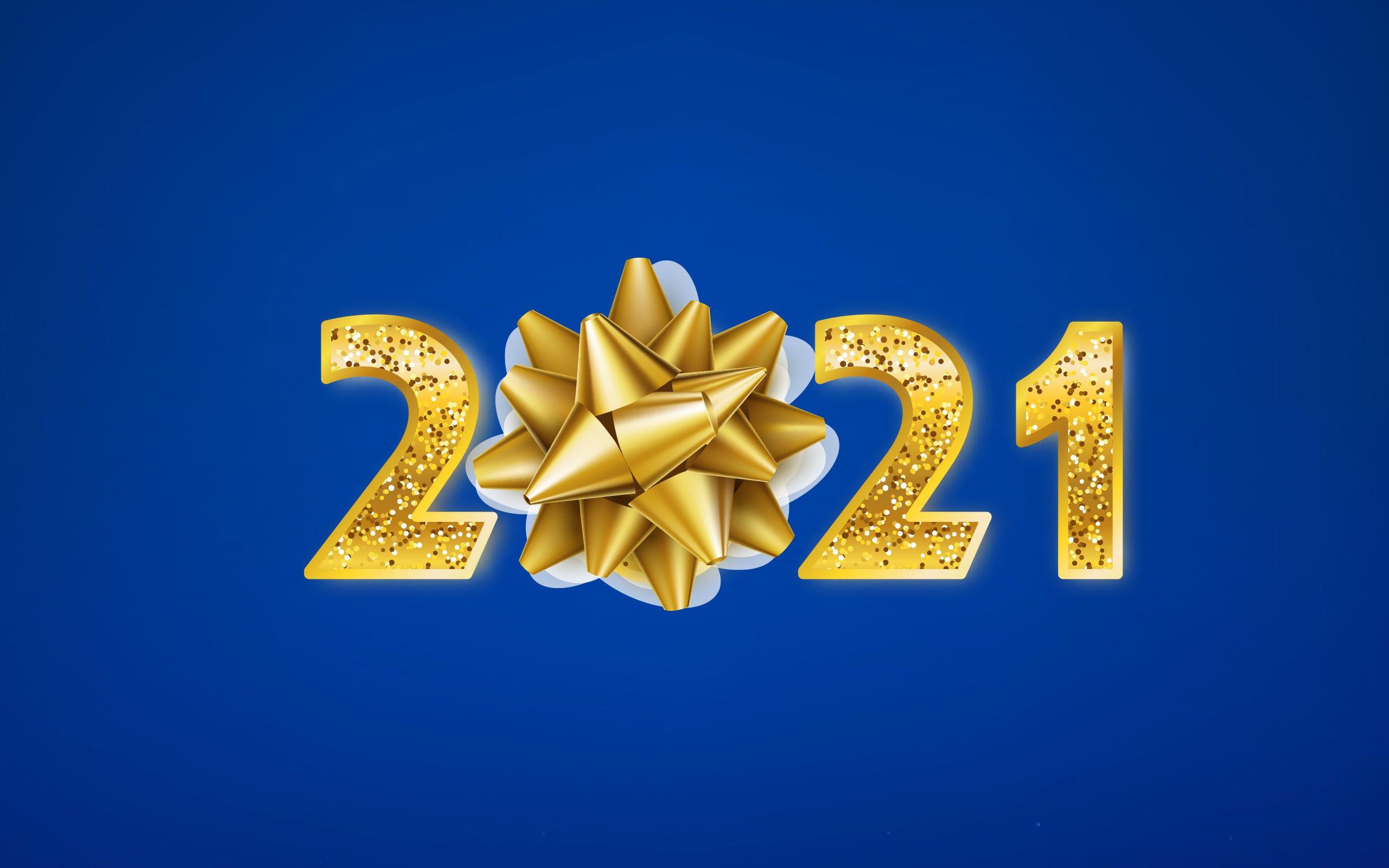 新年 2021 礼物 元旦