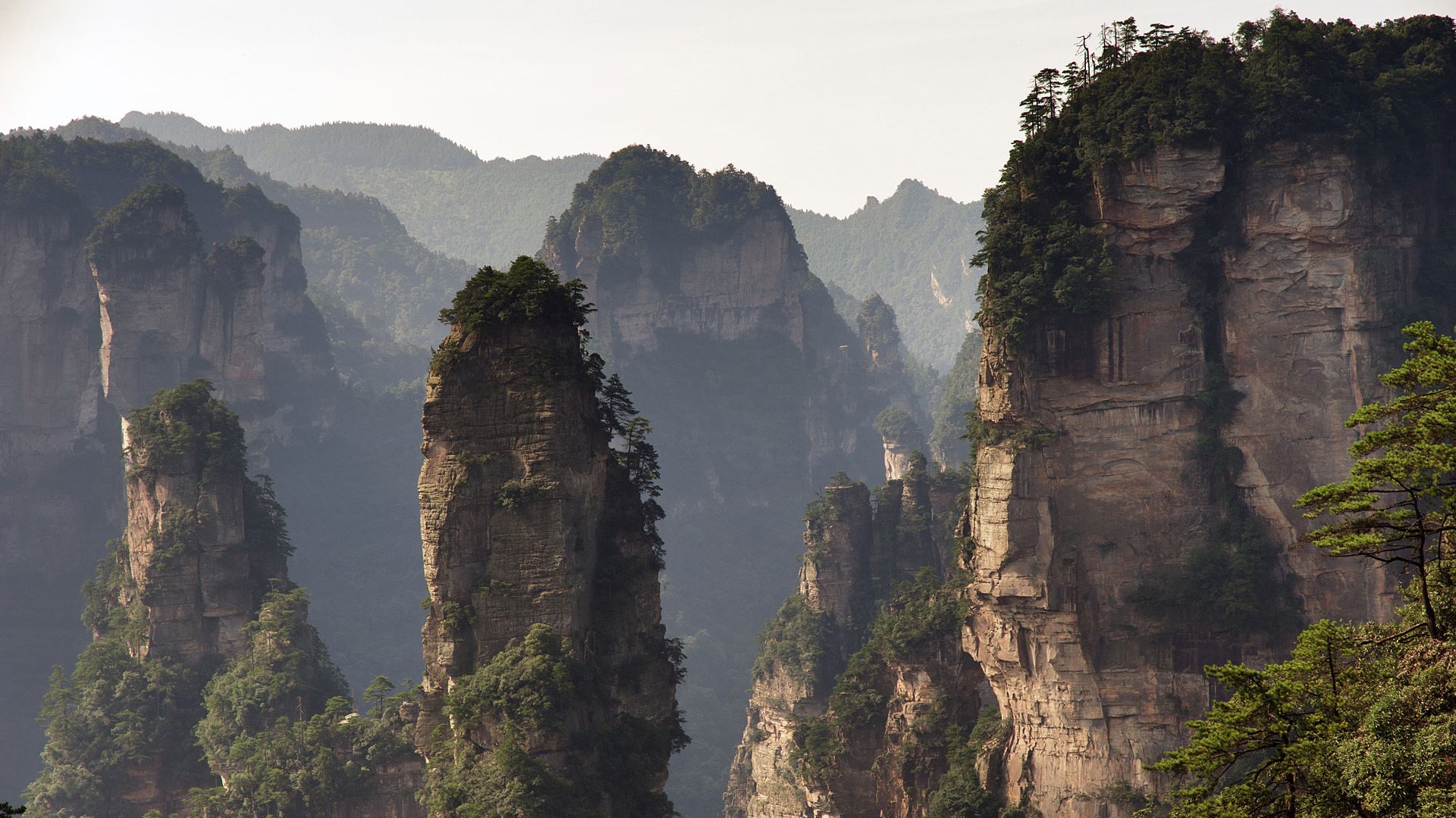 自然风光 张家界 山林