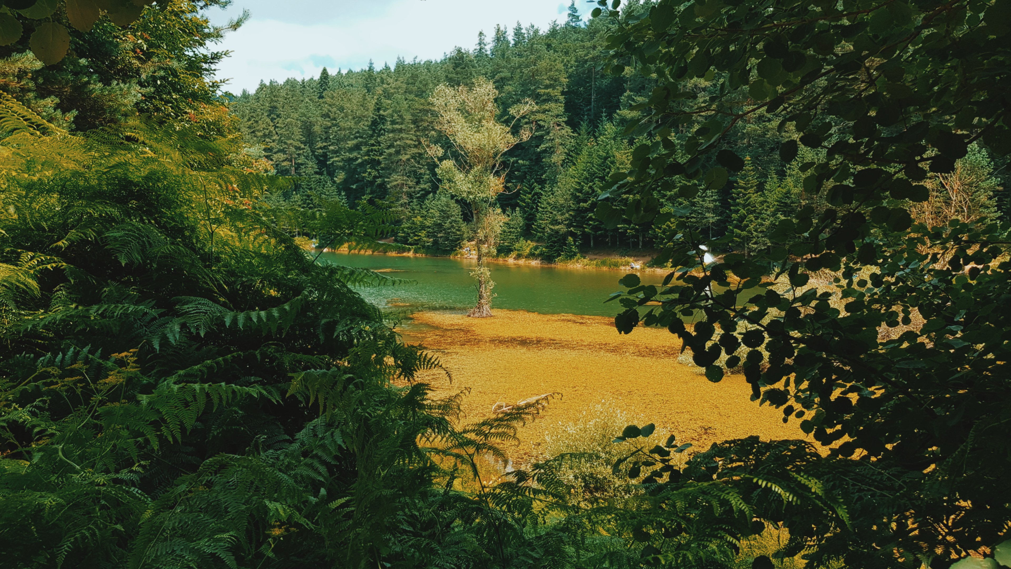 春意盎然 湖水