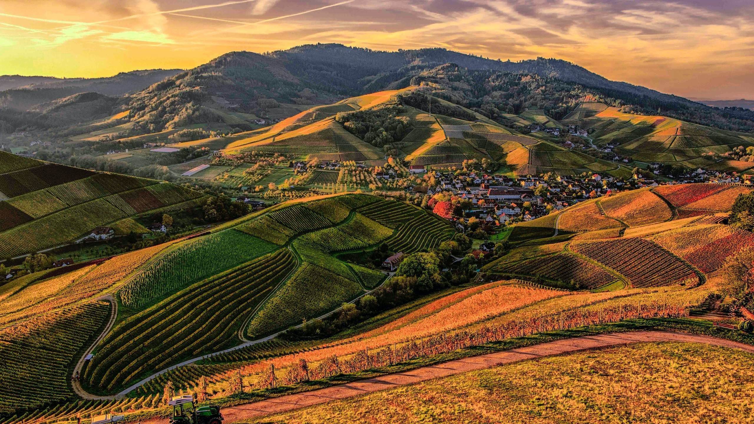 秋意正浓 村庄 麦田 丘陵