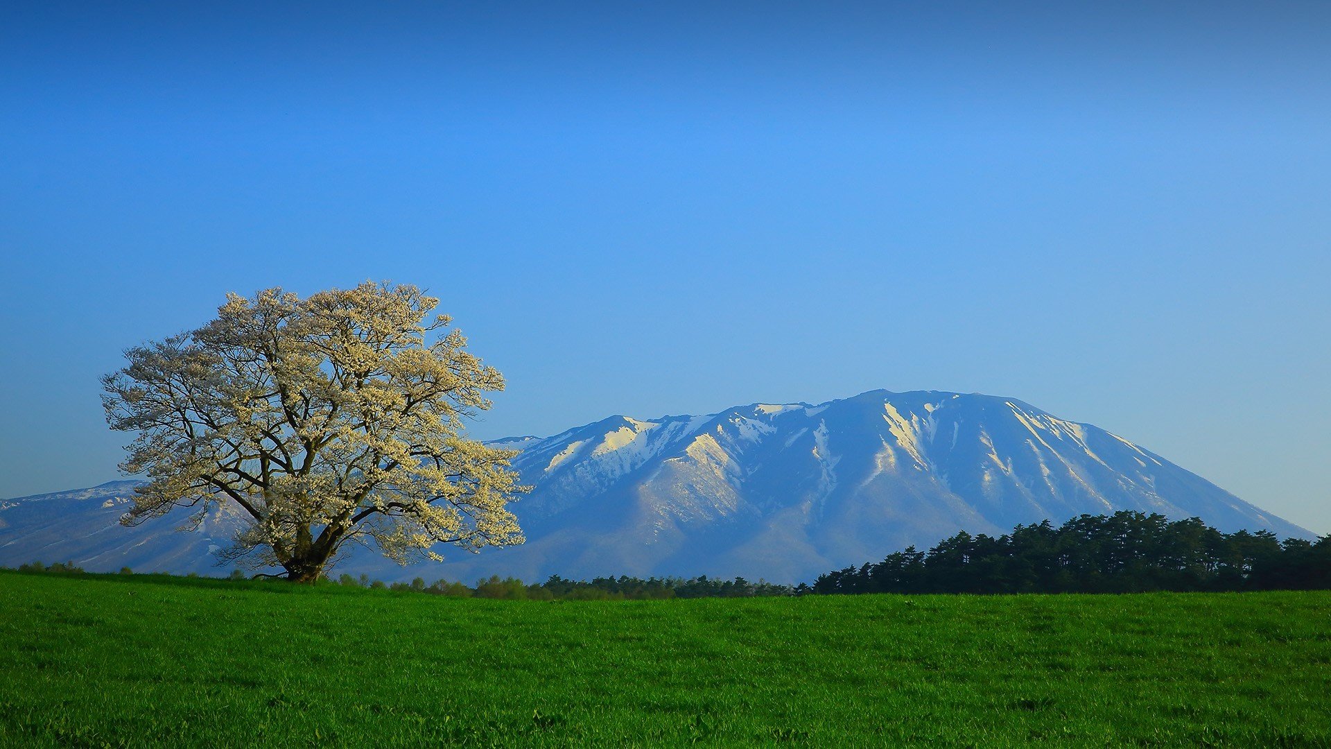 草原 雪山 旷野