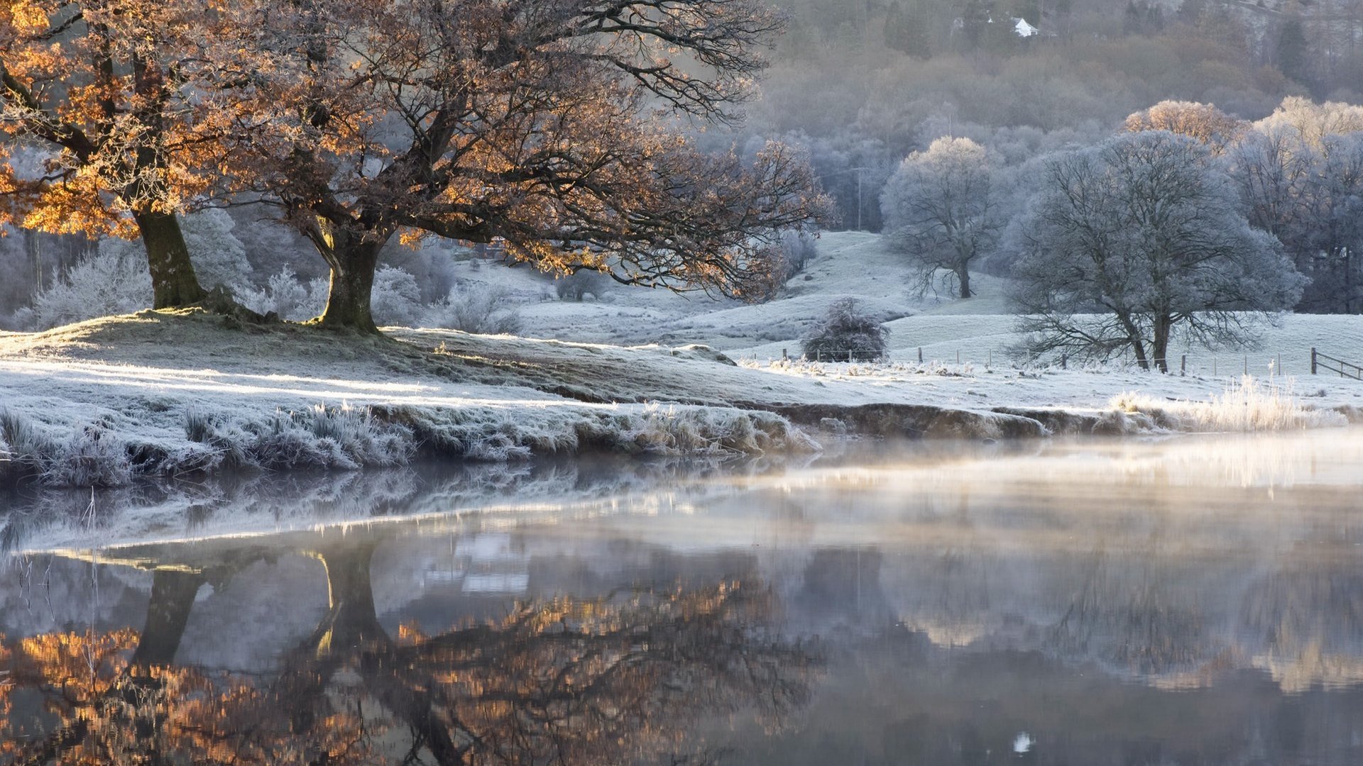 冰天雪地 落叶 河岸 倒影
