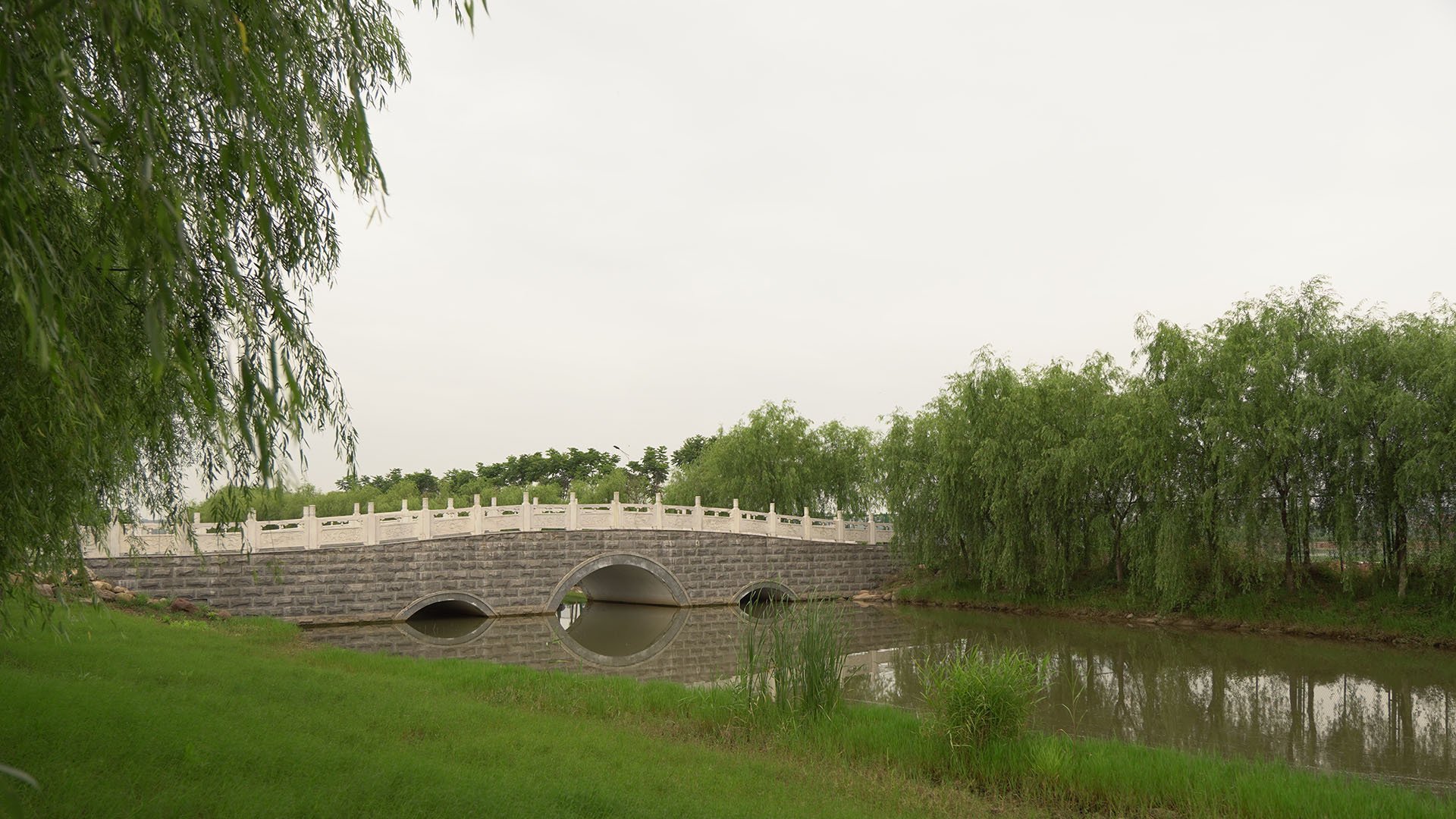 乐乡学苑 树林 拱桥 绿草地