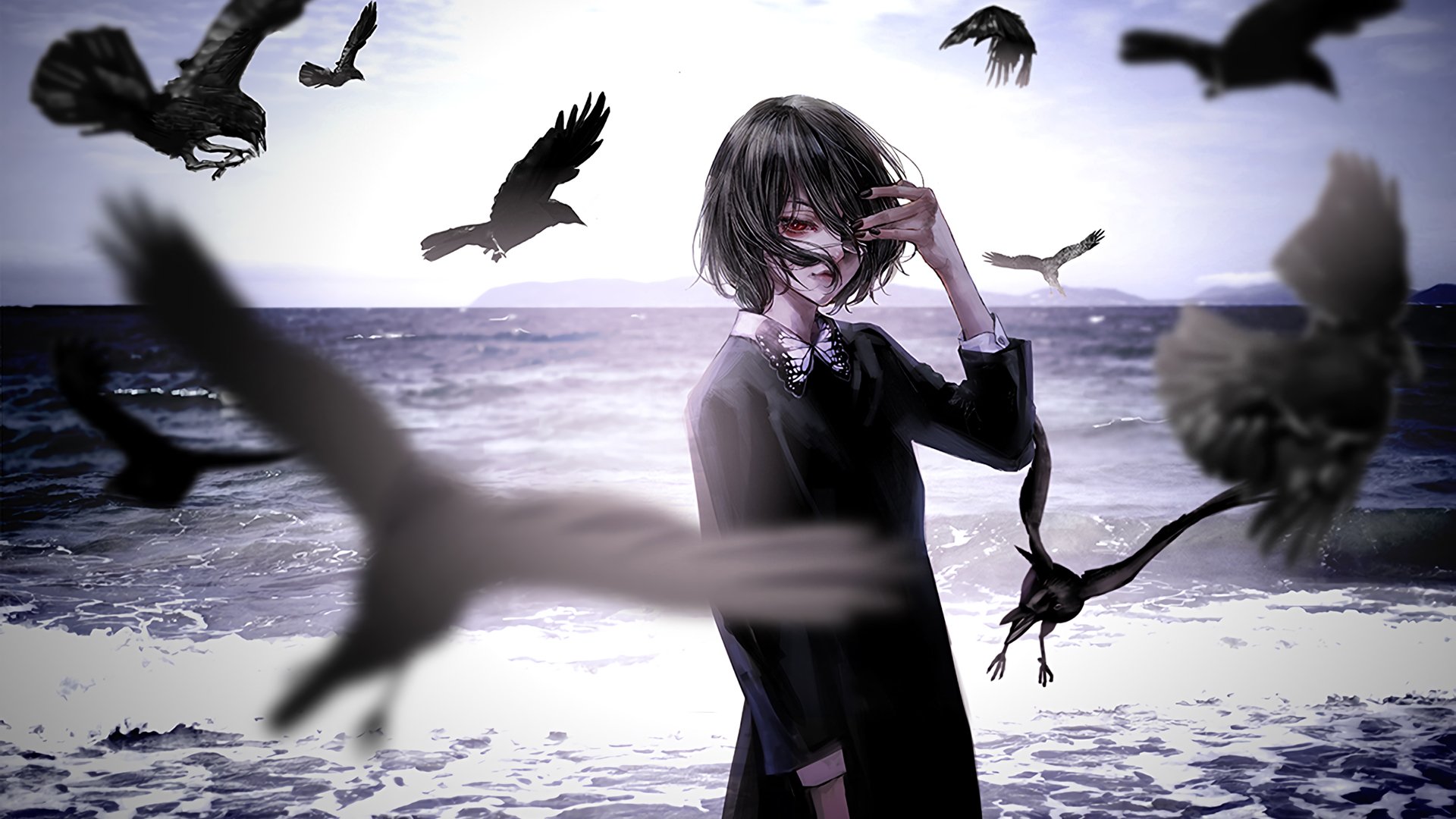 海洋 乌鸦 风 魔法