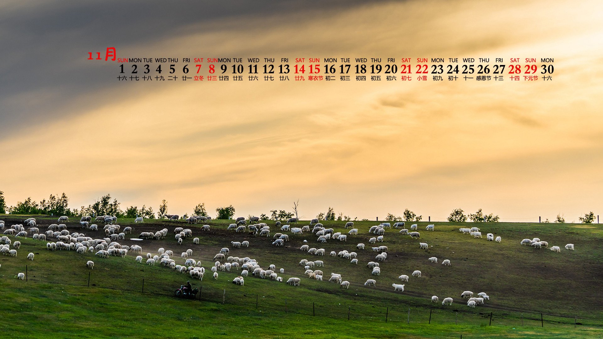 月历 日历 2020年11月