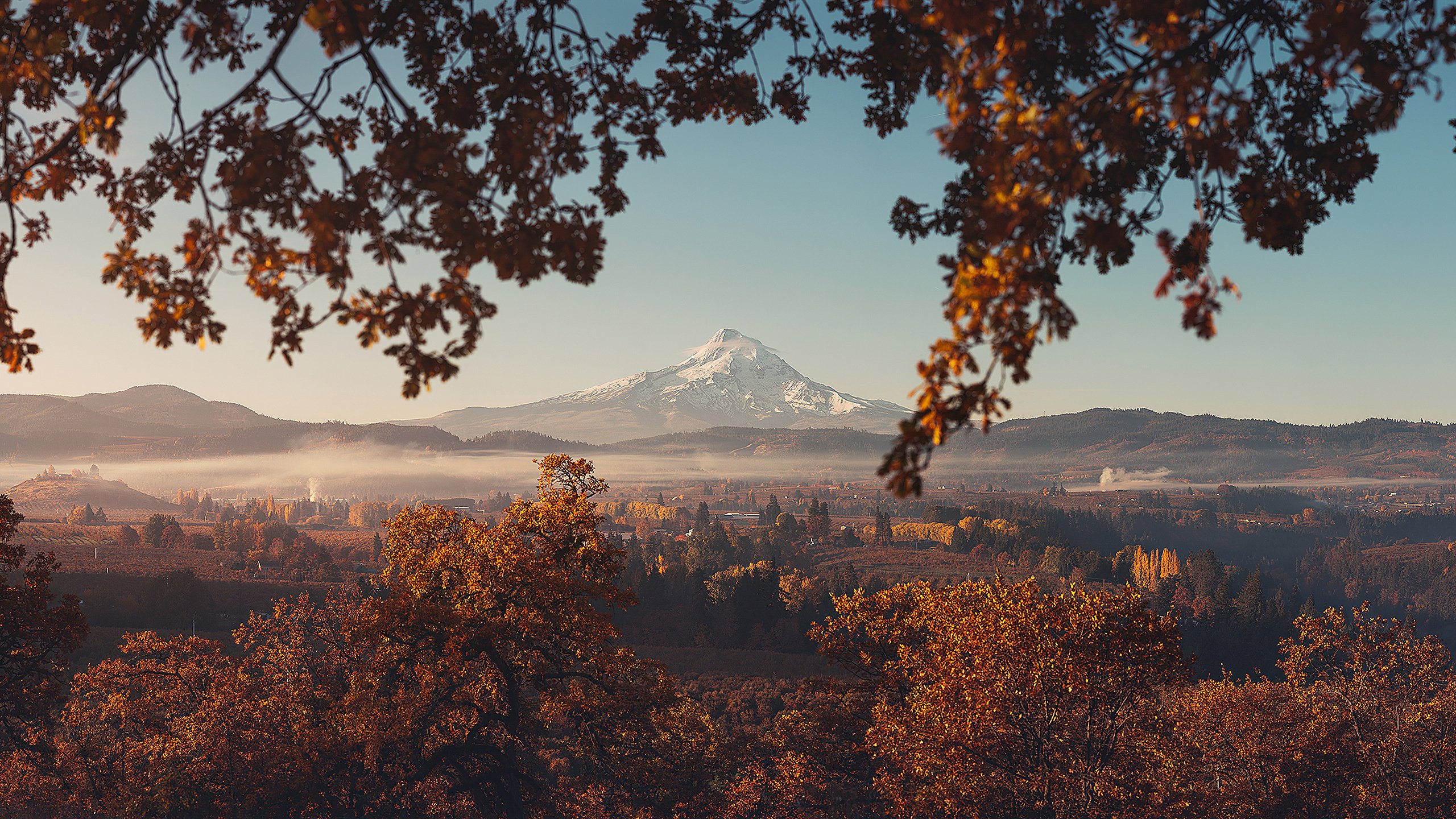 自然风光 雪山 眺望