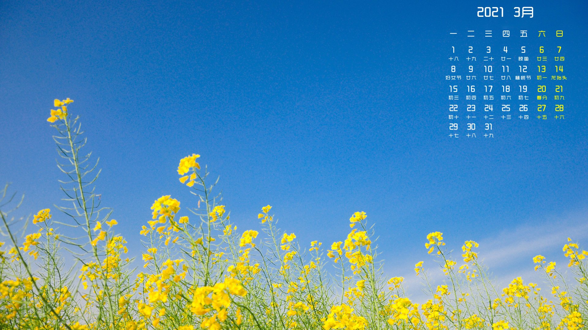 2021年  3月 油菜花