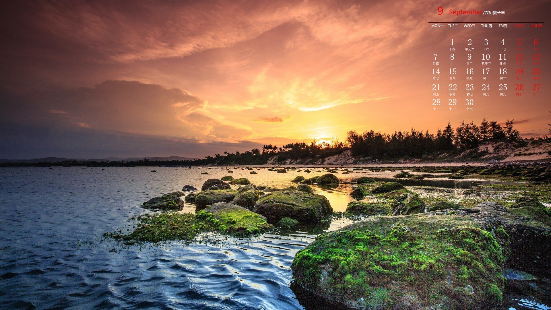 月历 日历 2020年8月