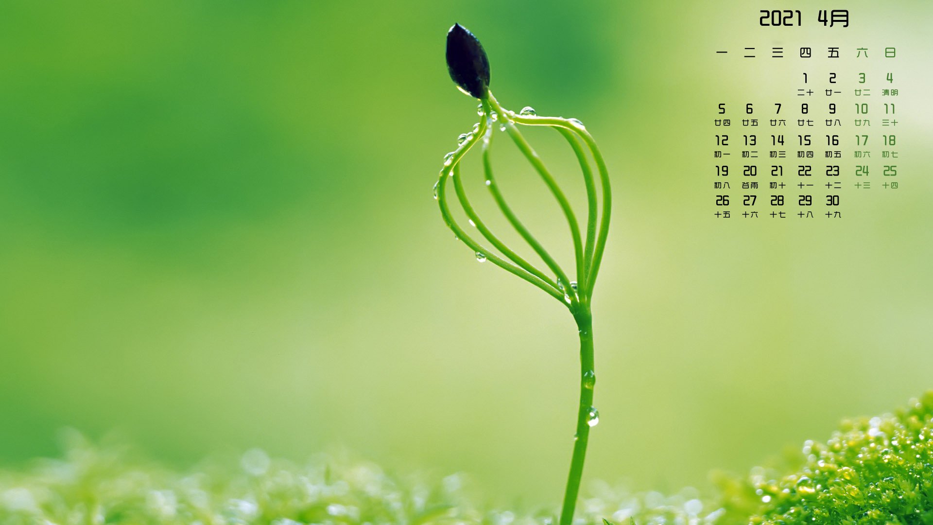 月例壁纸   4月  护眼