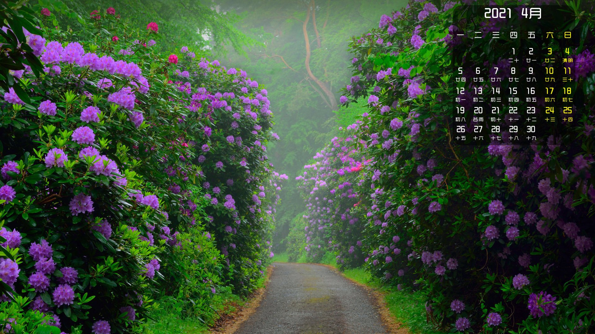 月历壁纸   4月  花朵