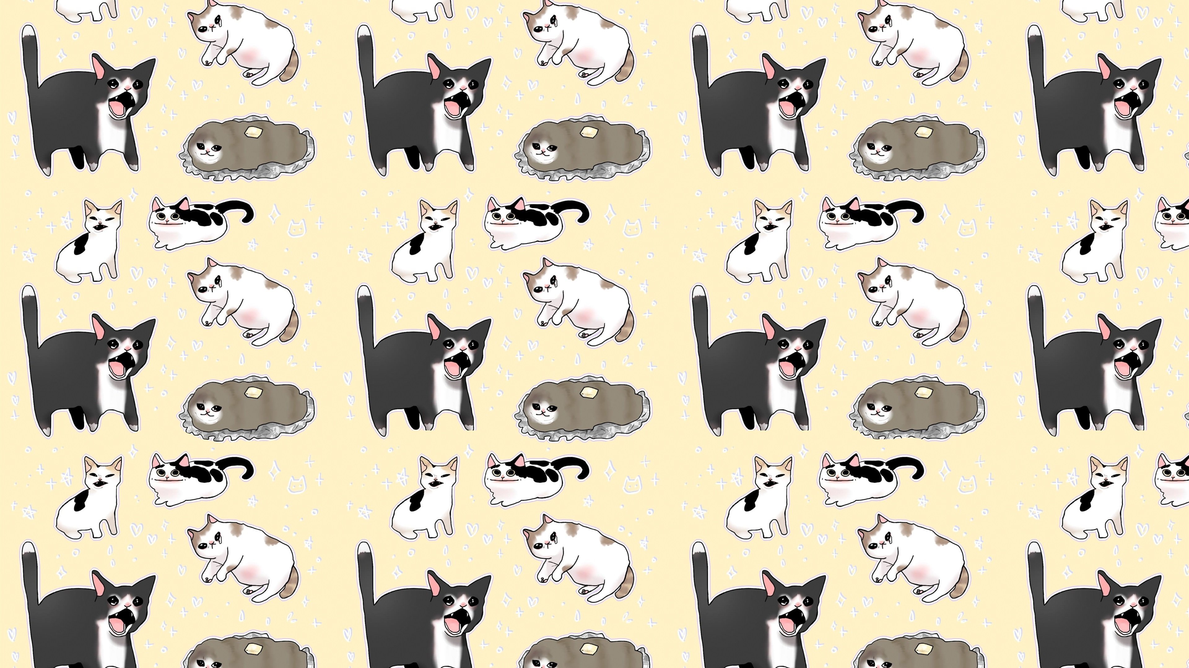 猫咪 密集 可爱 宠物