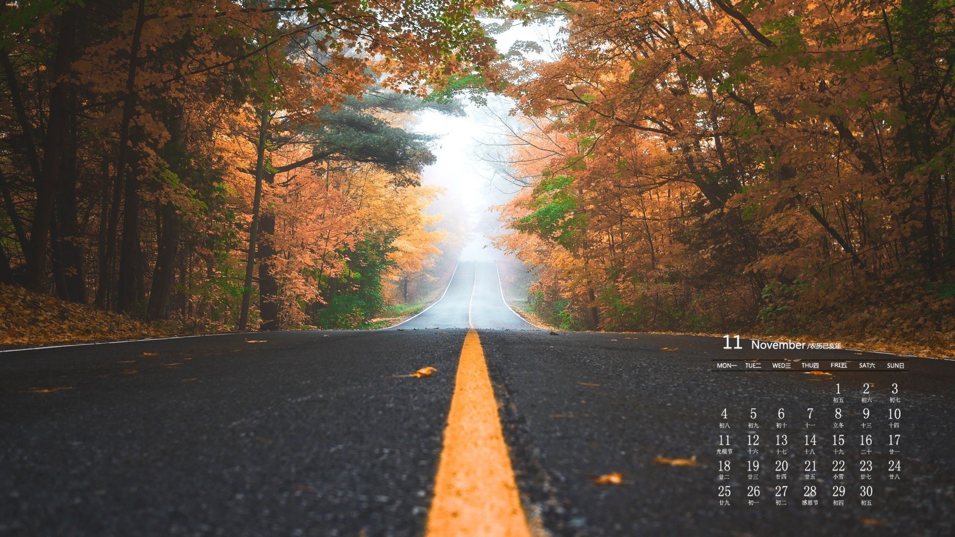 月历 2019年11月 日历