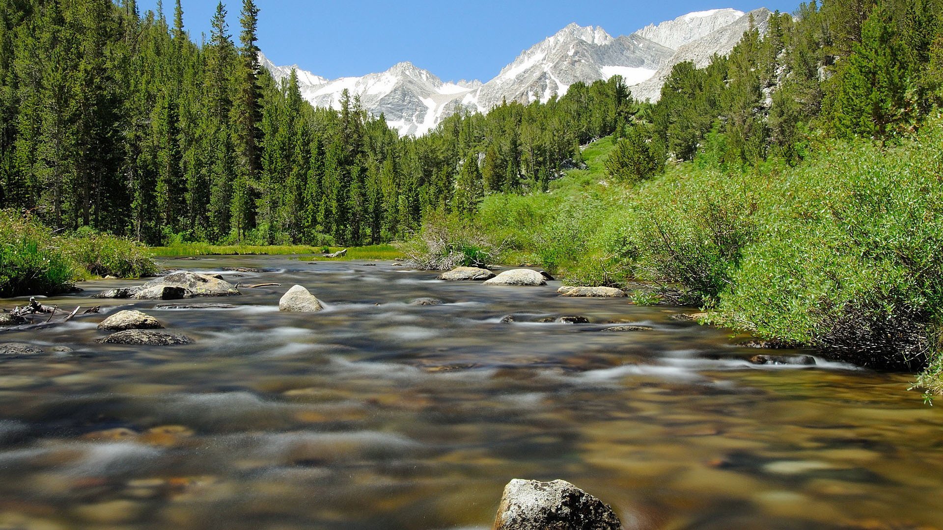 自然风光 河流 雪山 树林 石头 延时
