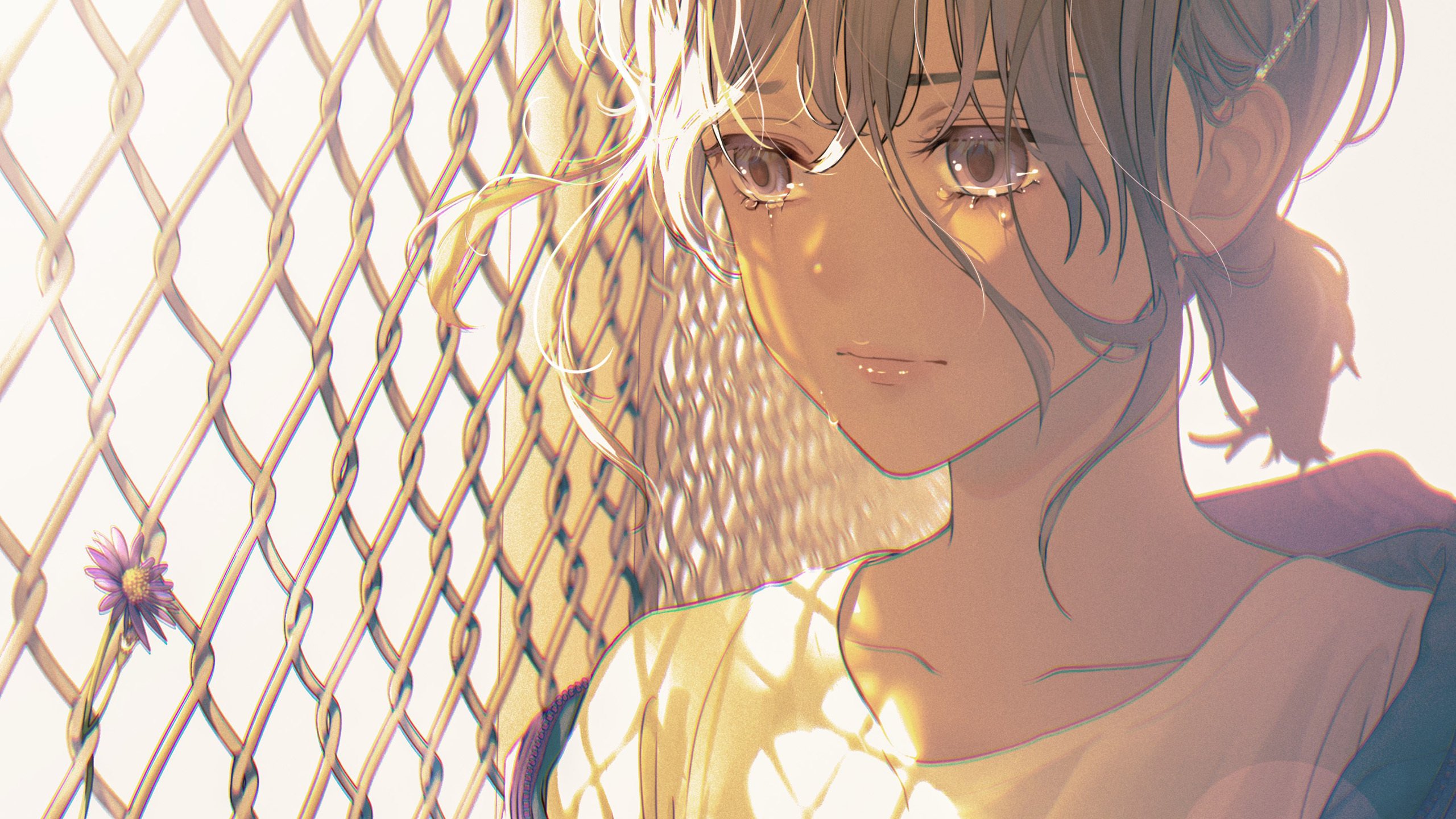 铁丝网 眼泪 午后阳光