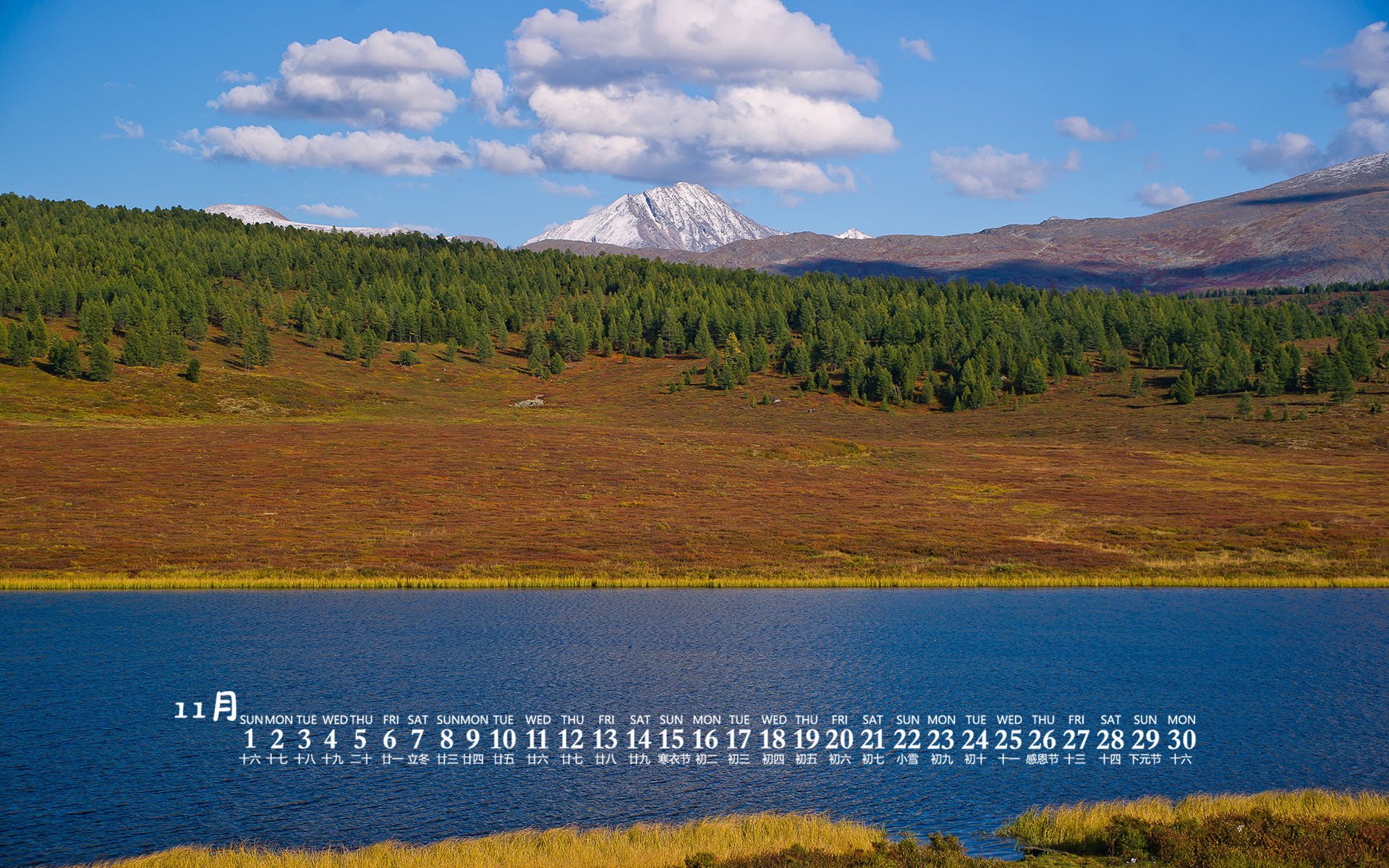 月历 日历 2020年11月