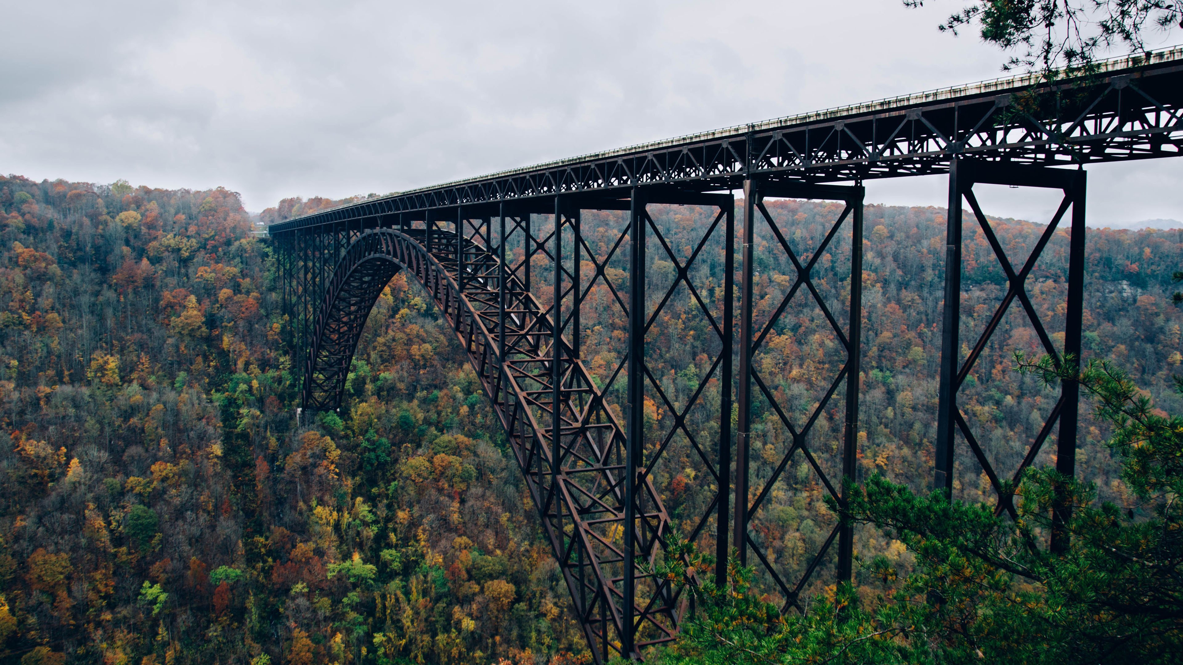 桥梁 树林 深秋