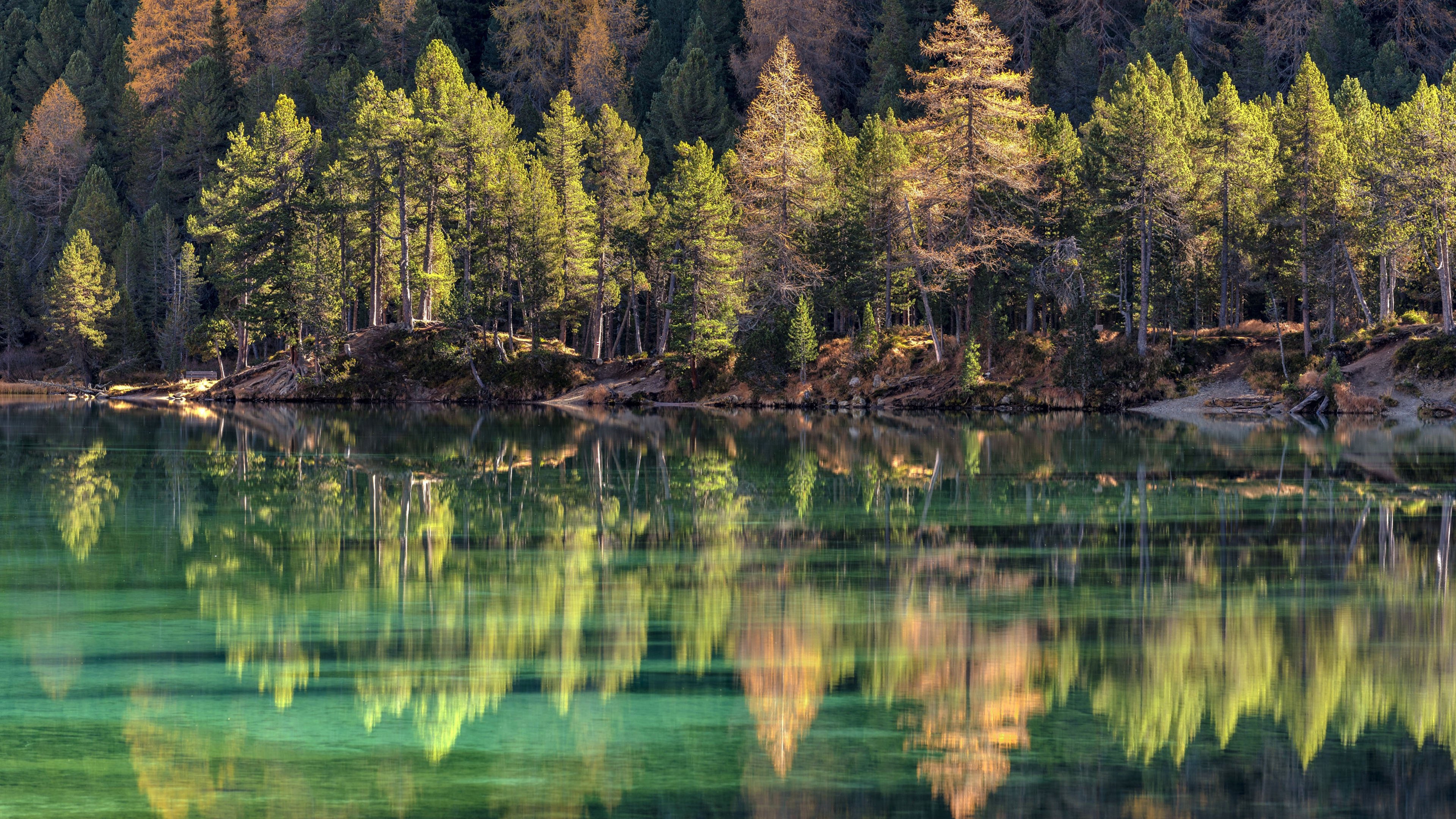 自然风光 倒影 树林 碧绿的湖水