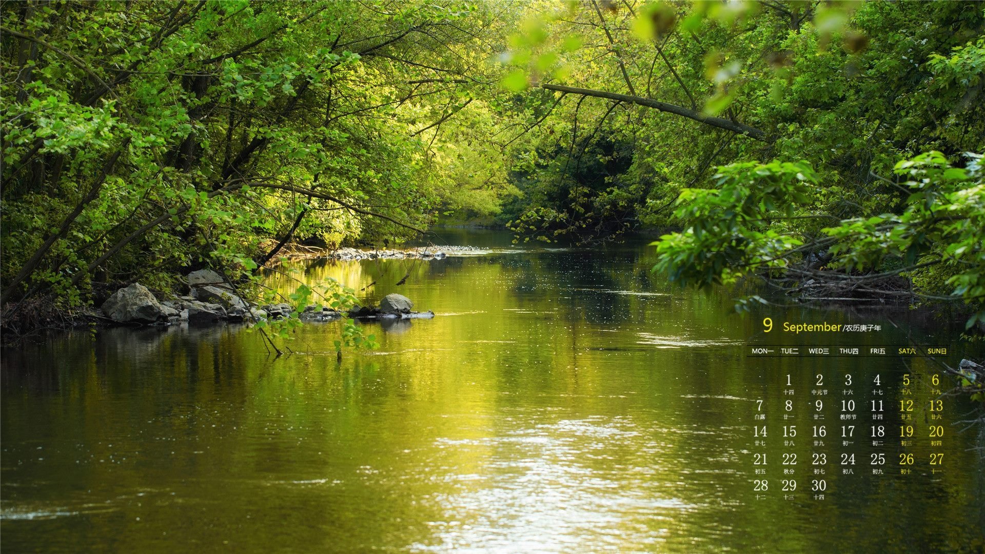 月历 日历 2020年8月