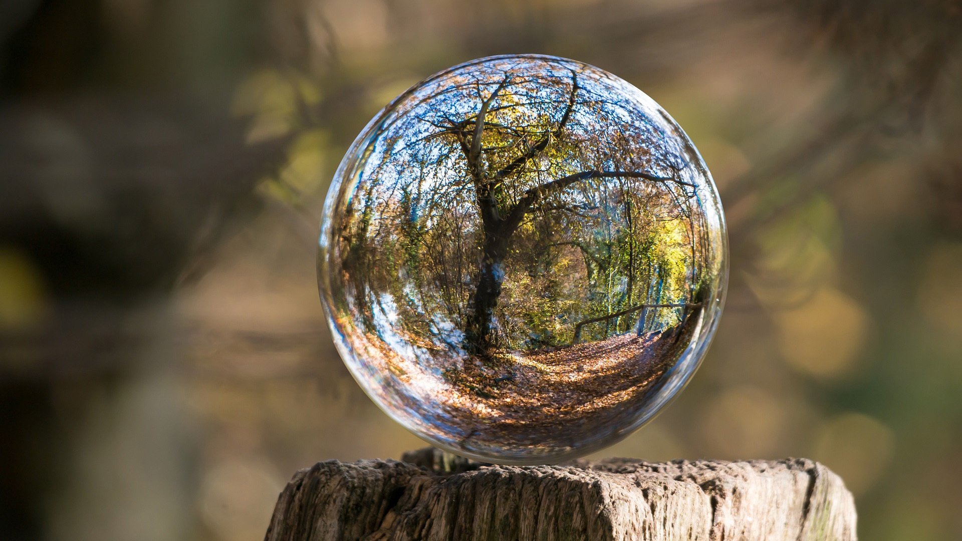 水晶球 折射 春天