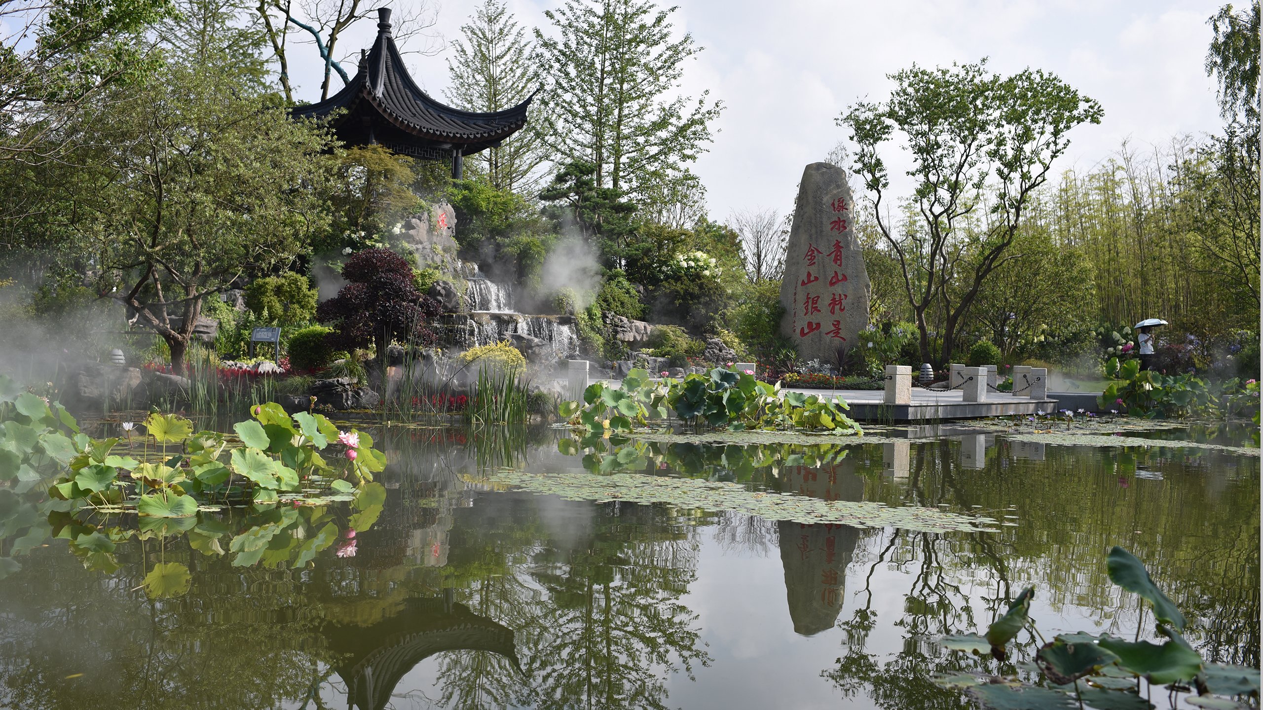 炎炎夏日 荷塘 庭院 上海花博会