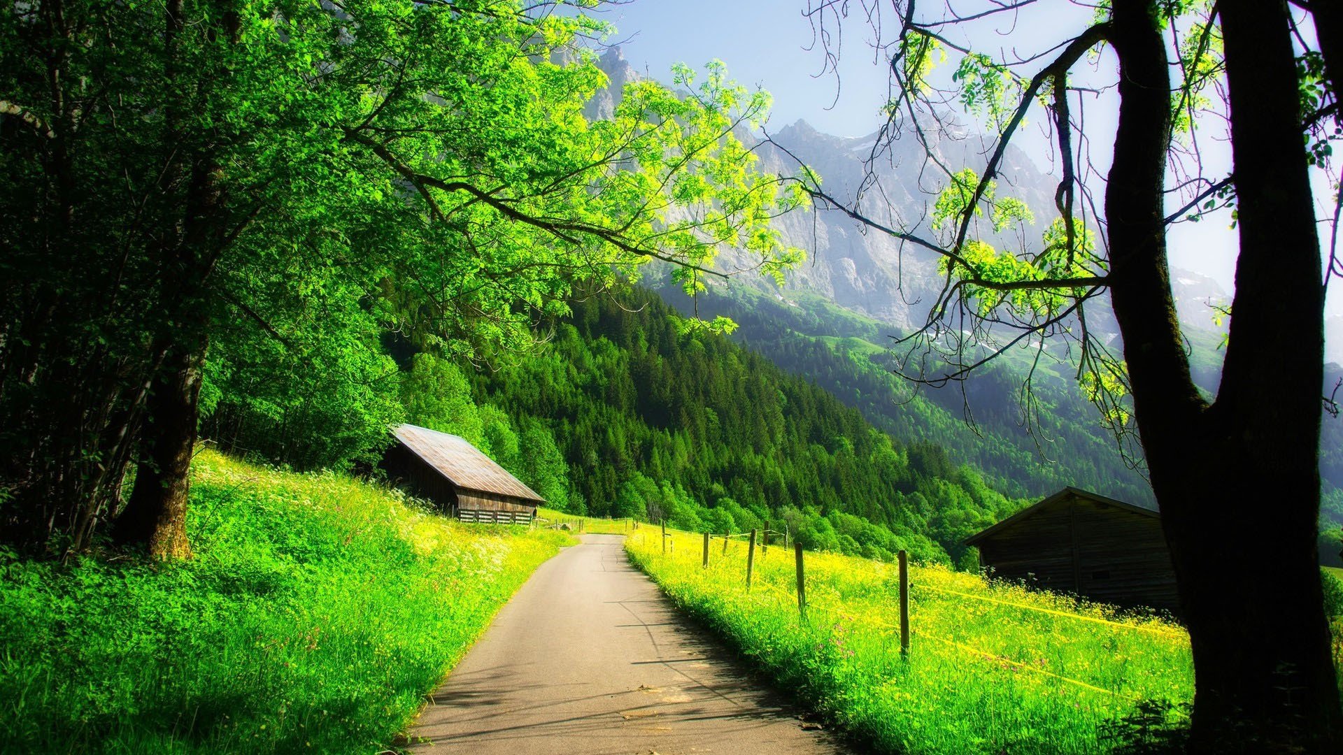 自然风光 半山 山峰 翠绿 山路