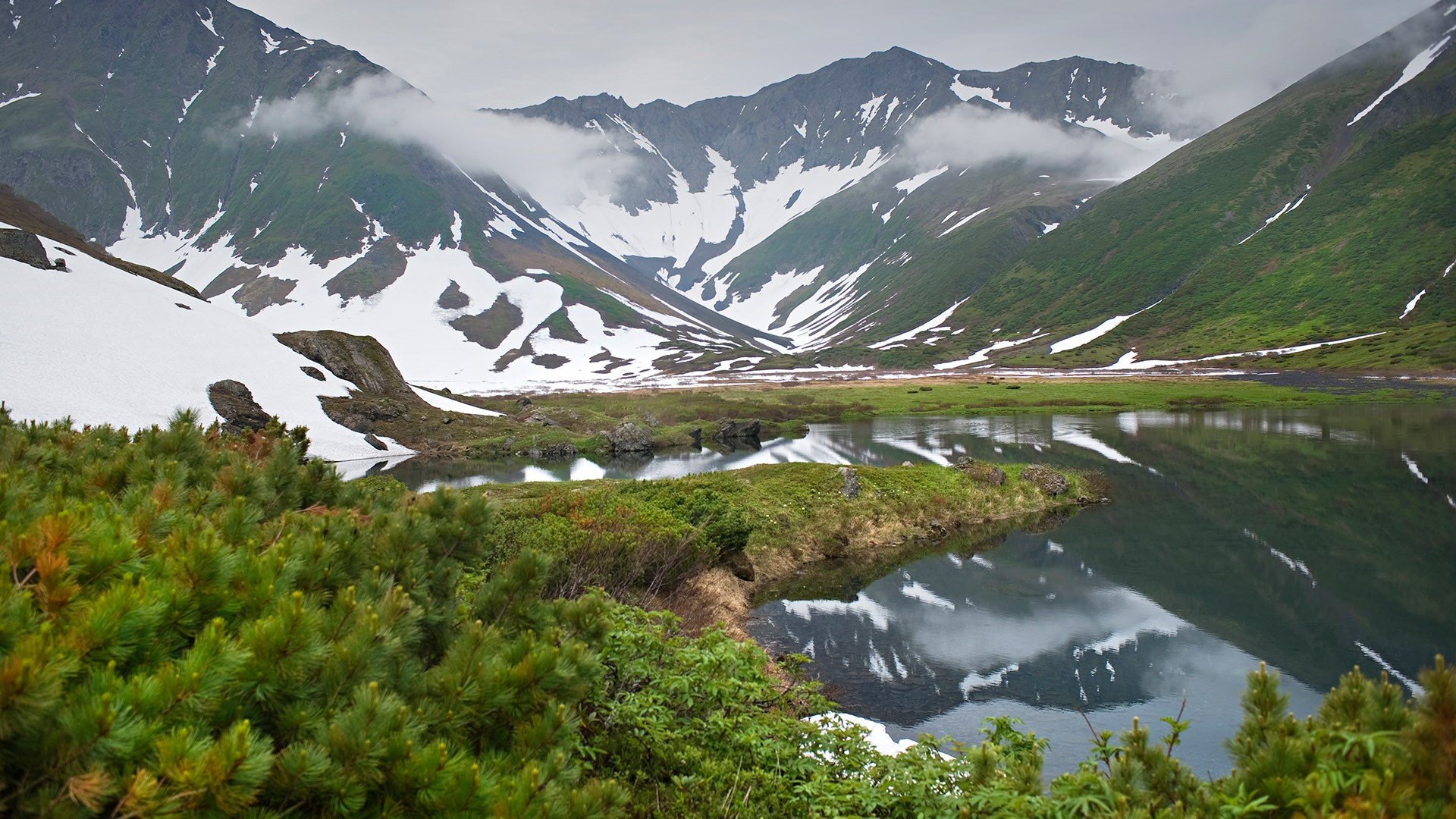 自然风光 雪山 湖 松树