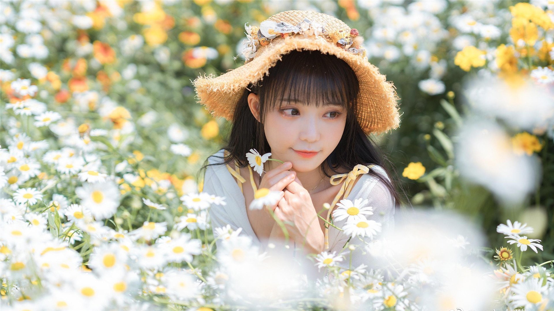 清纯 花海 阳光 美女 草帽