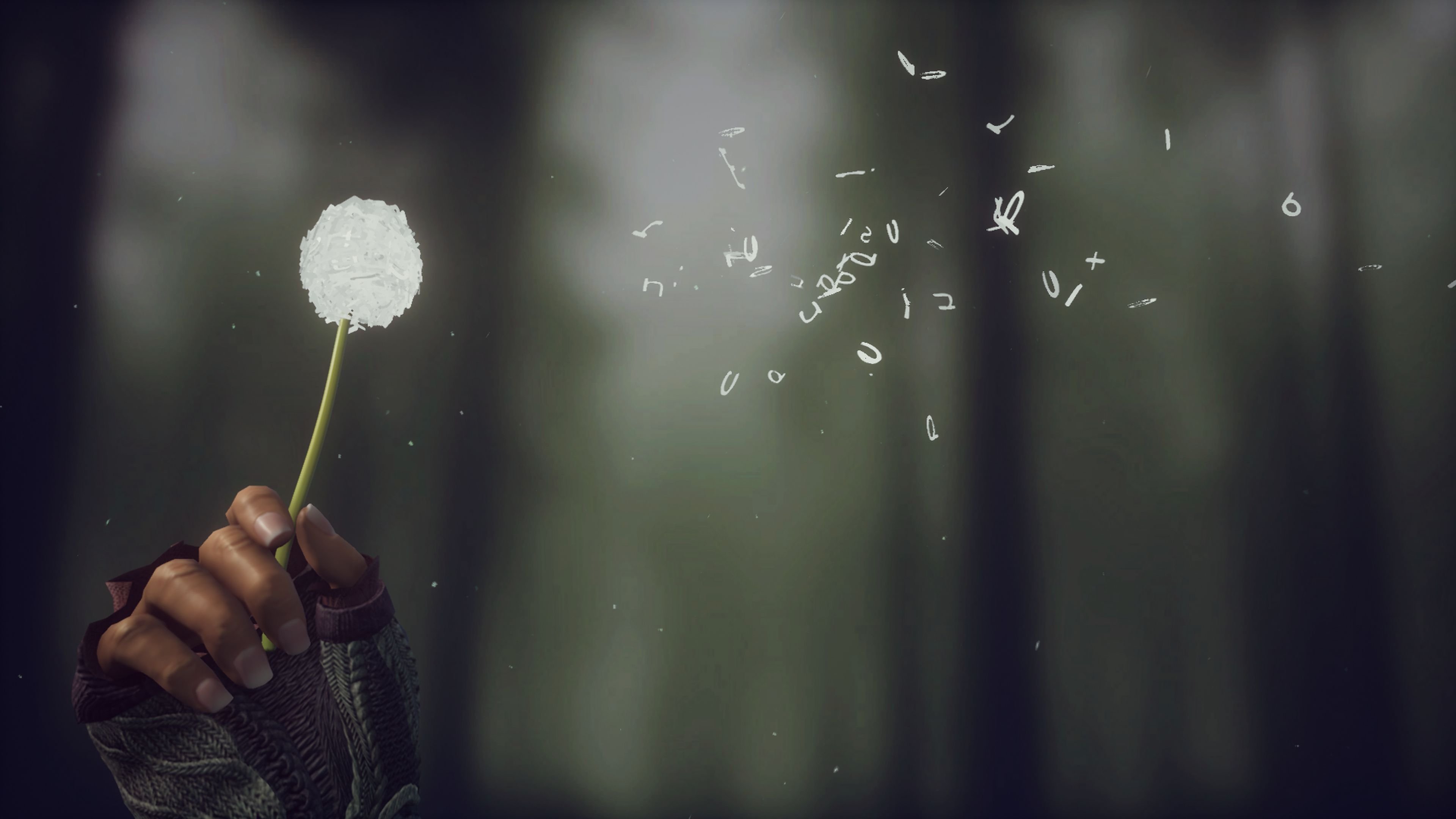 蒲公英 抽象 密码 符号