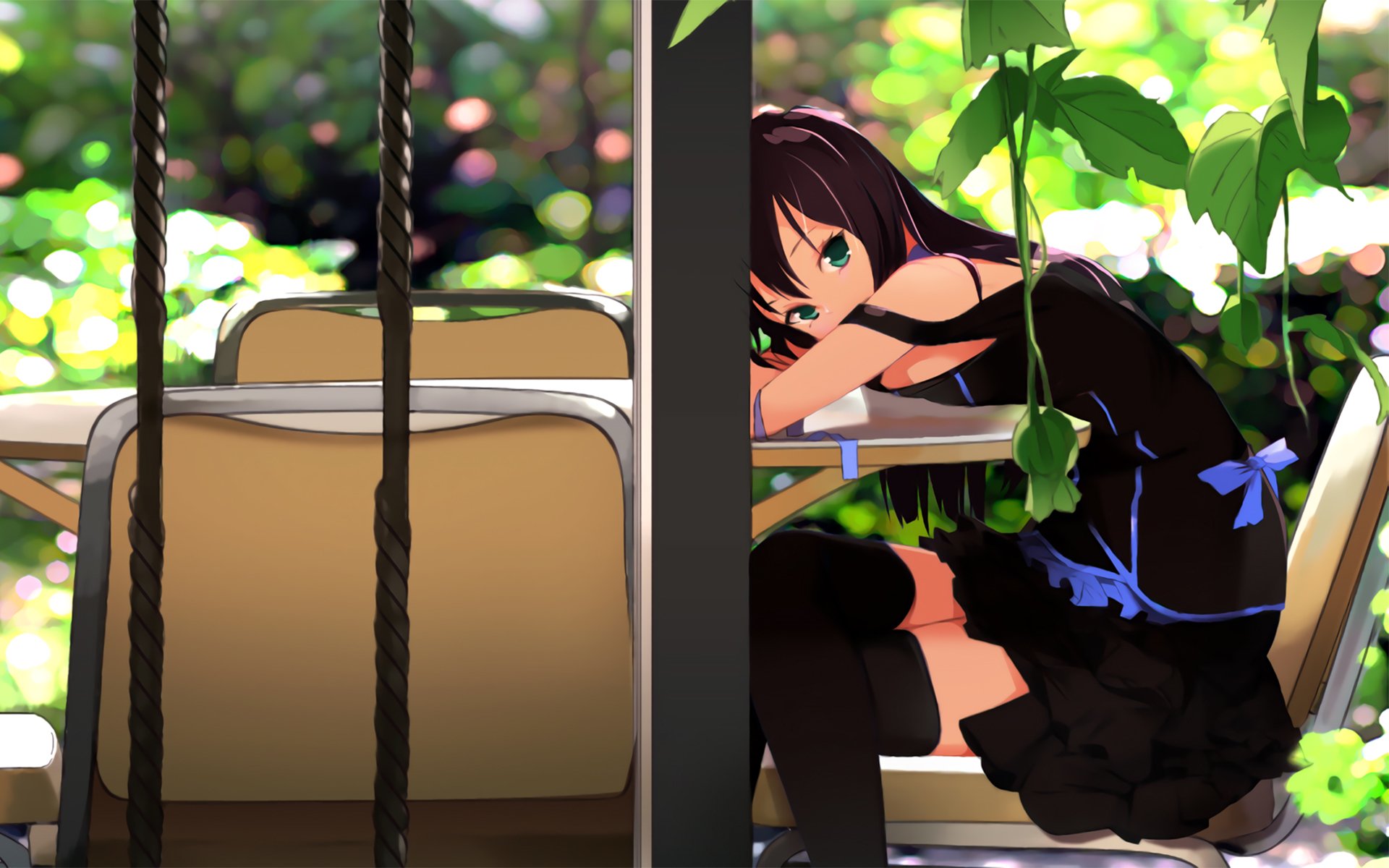 动漫   二次元  美女