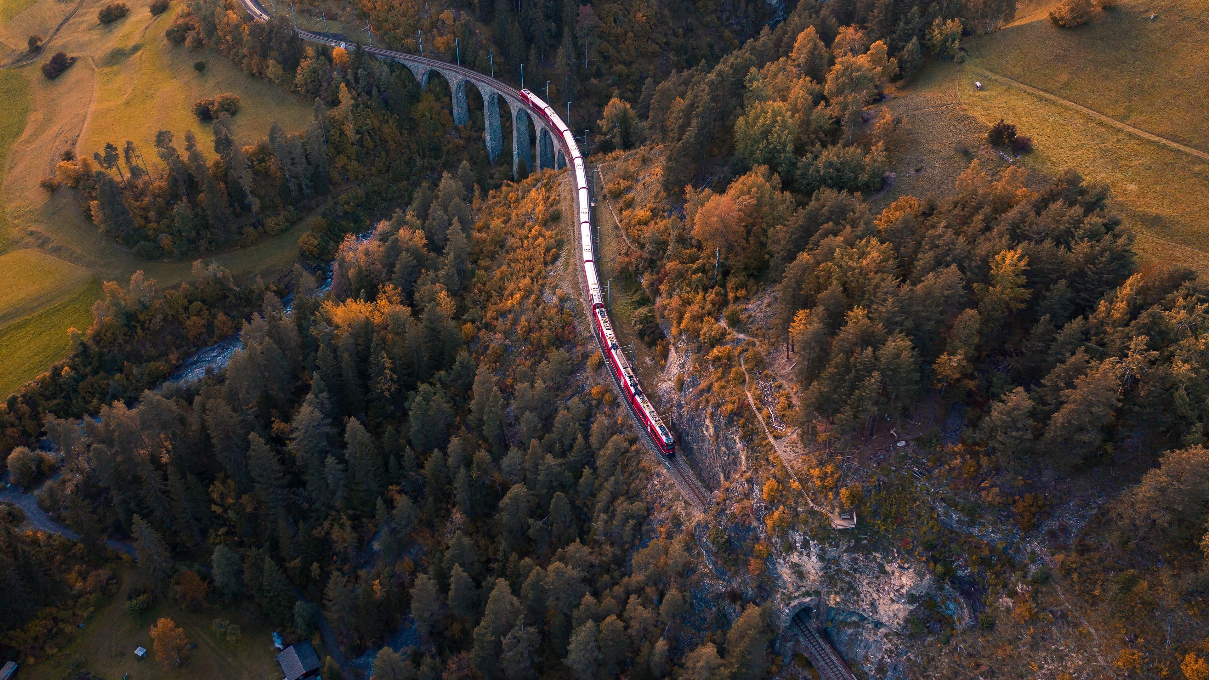 秋意正浓 火车 航拍 树林