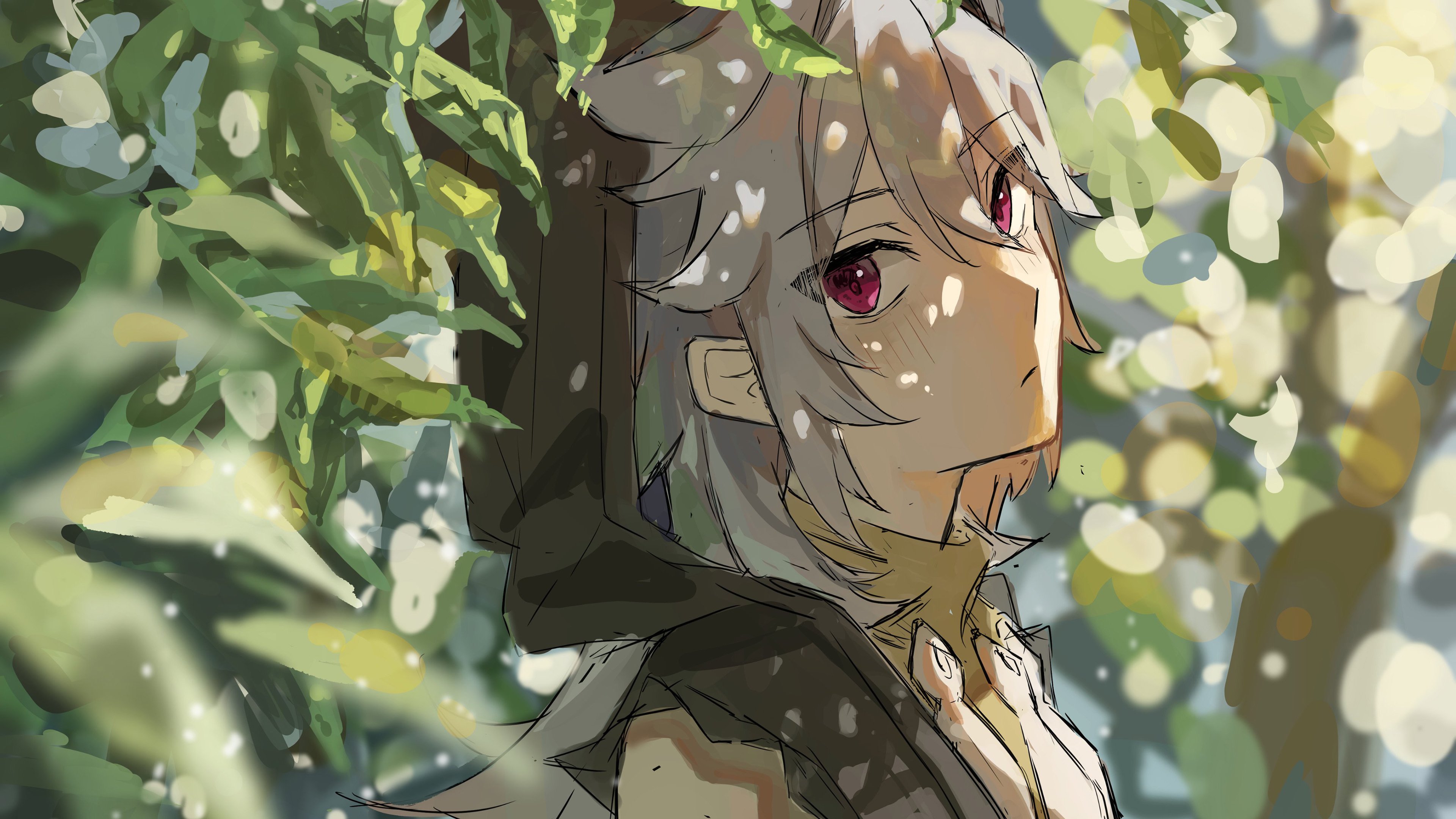 阳光下 树影 盛夏