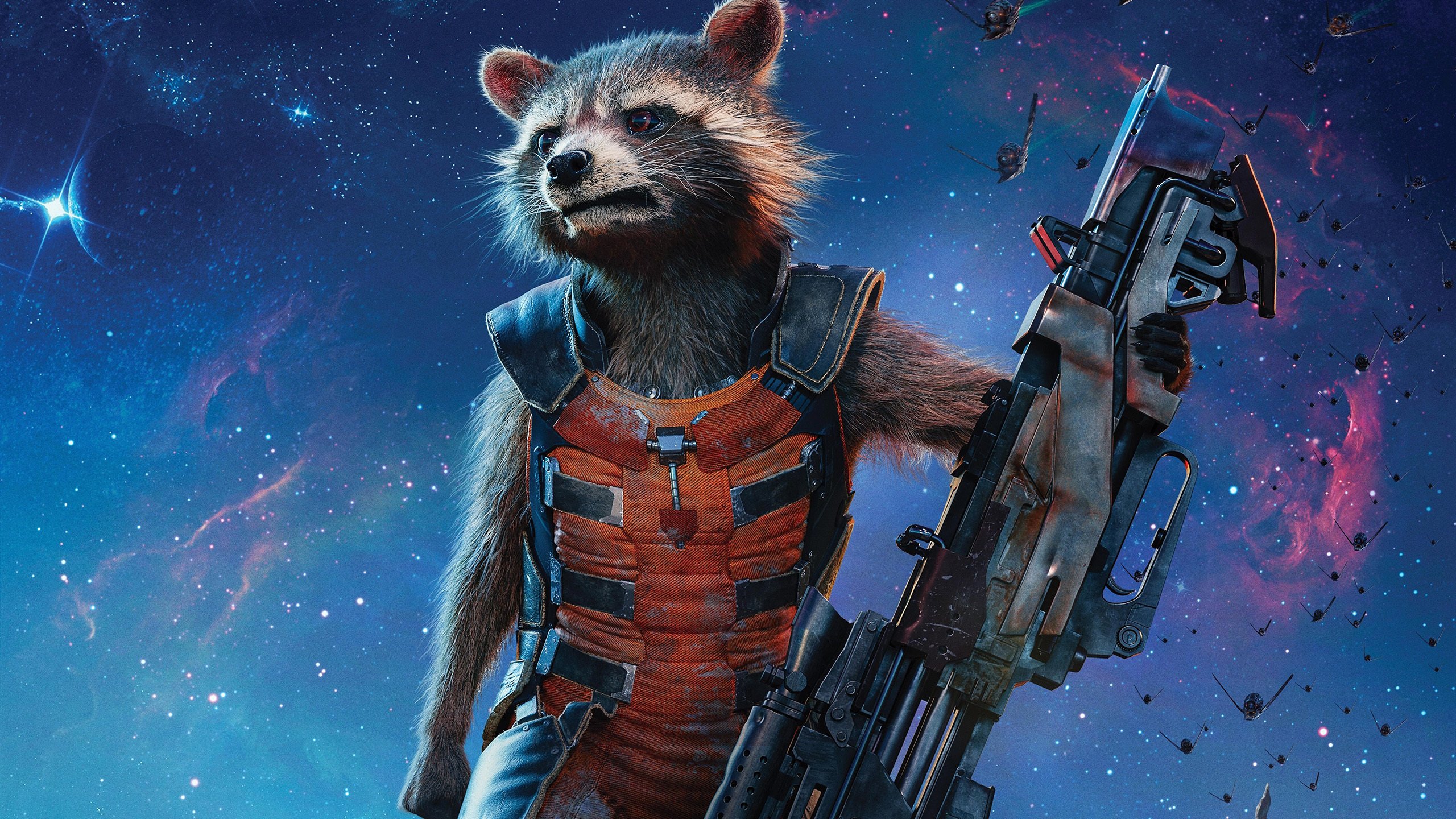 银河护卫队 浣熊