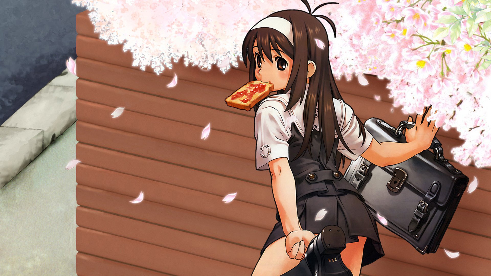 樱花 上学 土司