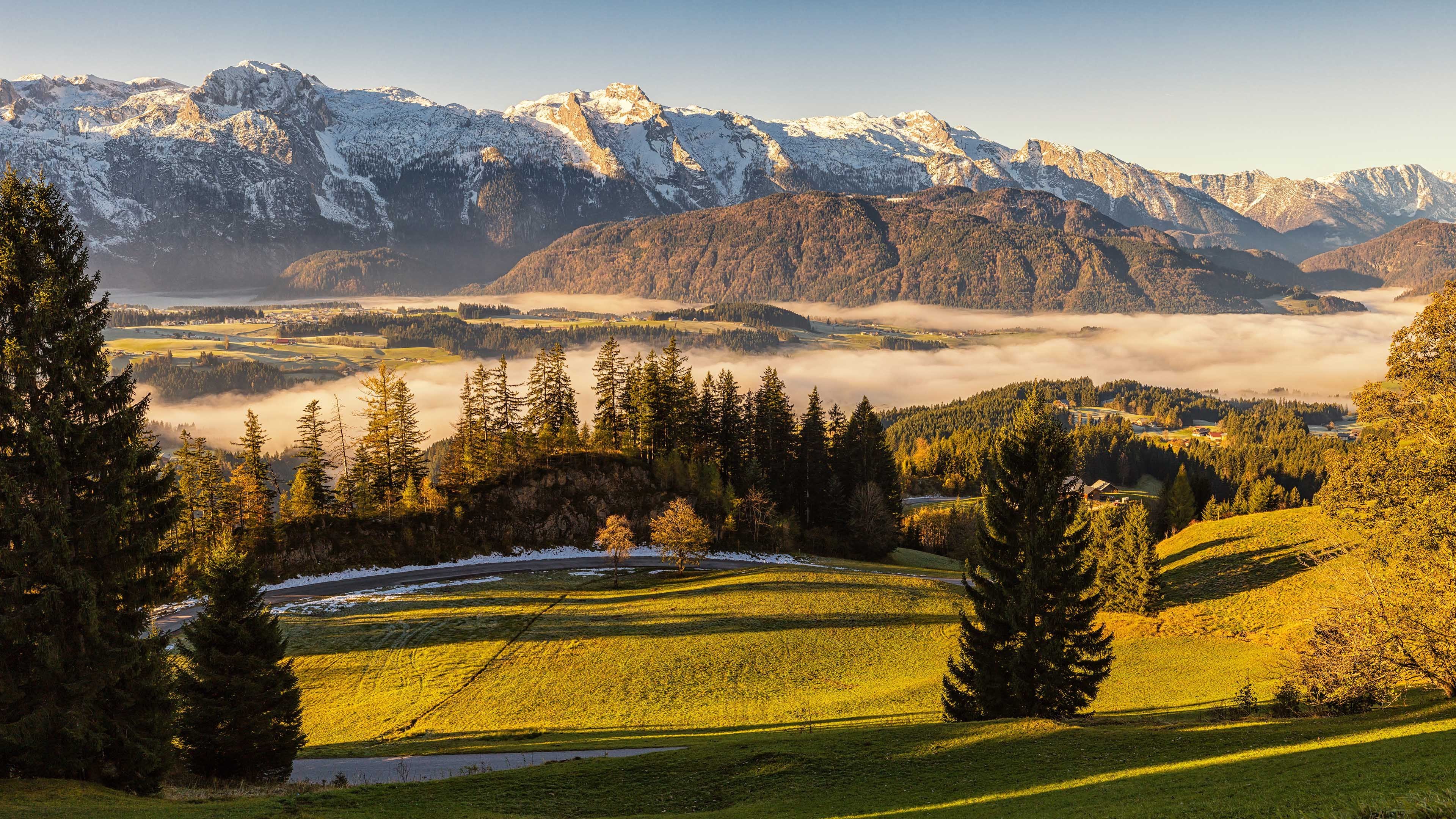 秋意正浓 山脉 雪山 树林  云雾