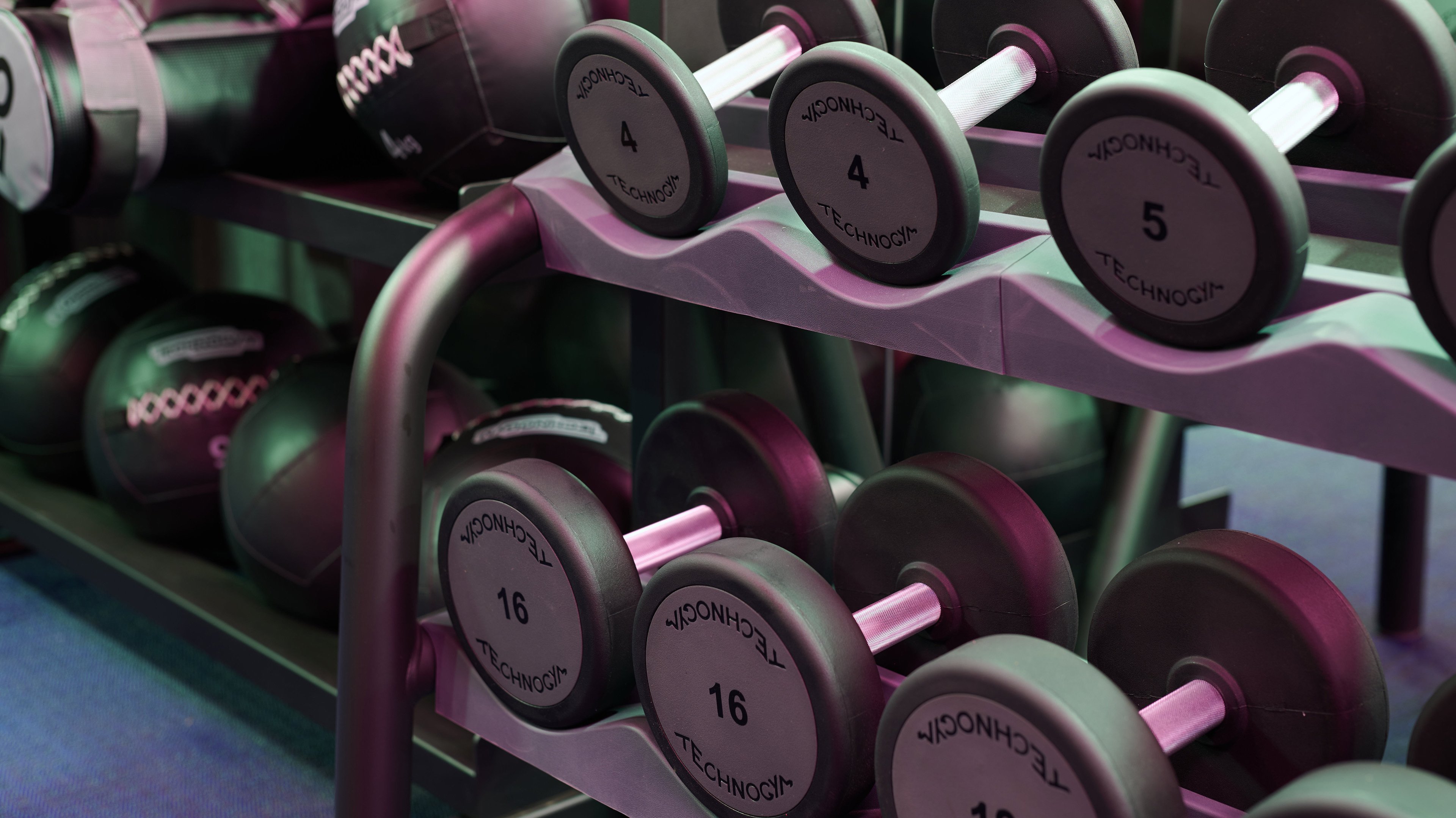 健身房 哑铃 器械