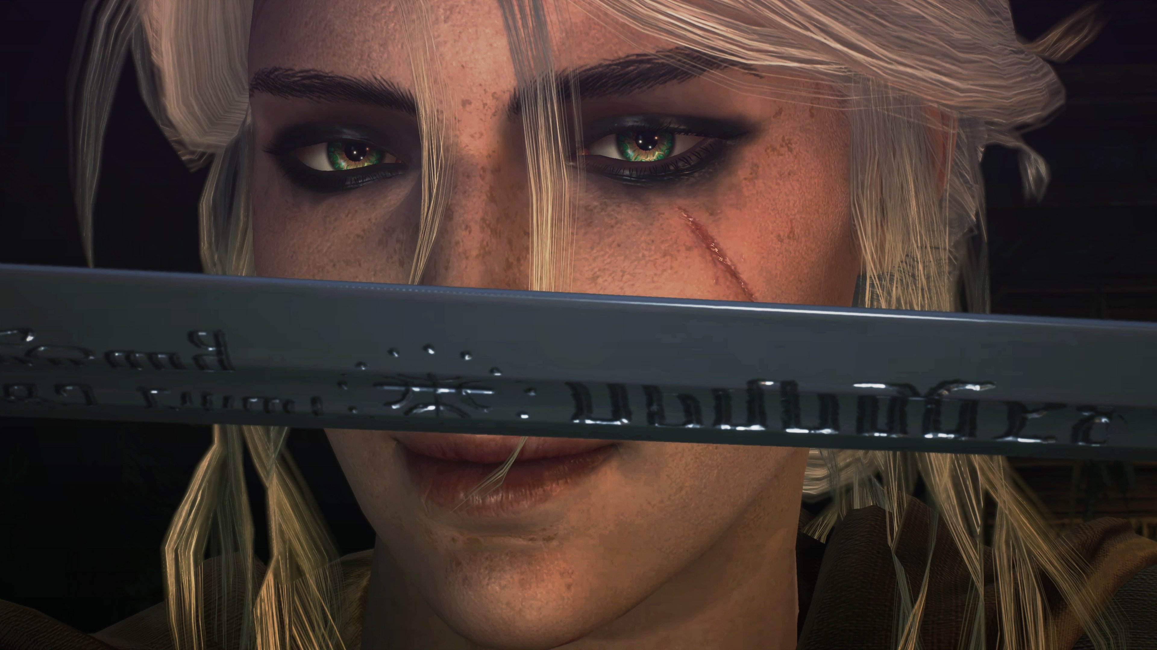 巫师 狩猎 猎魔人