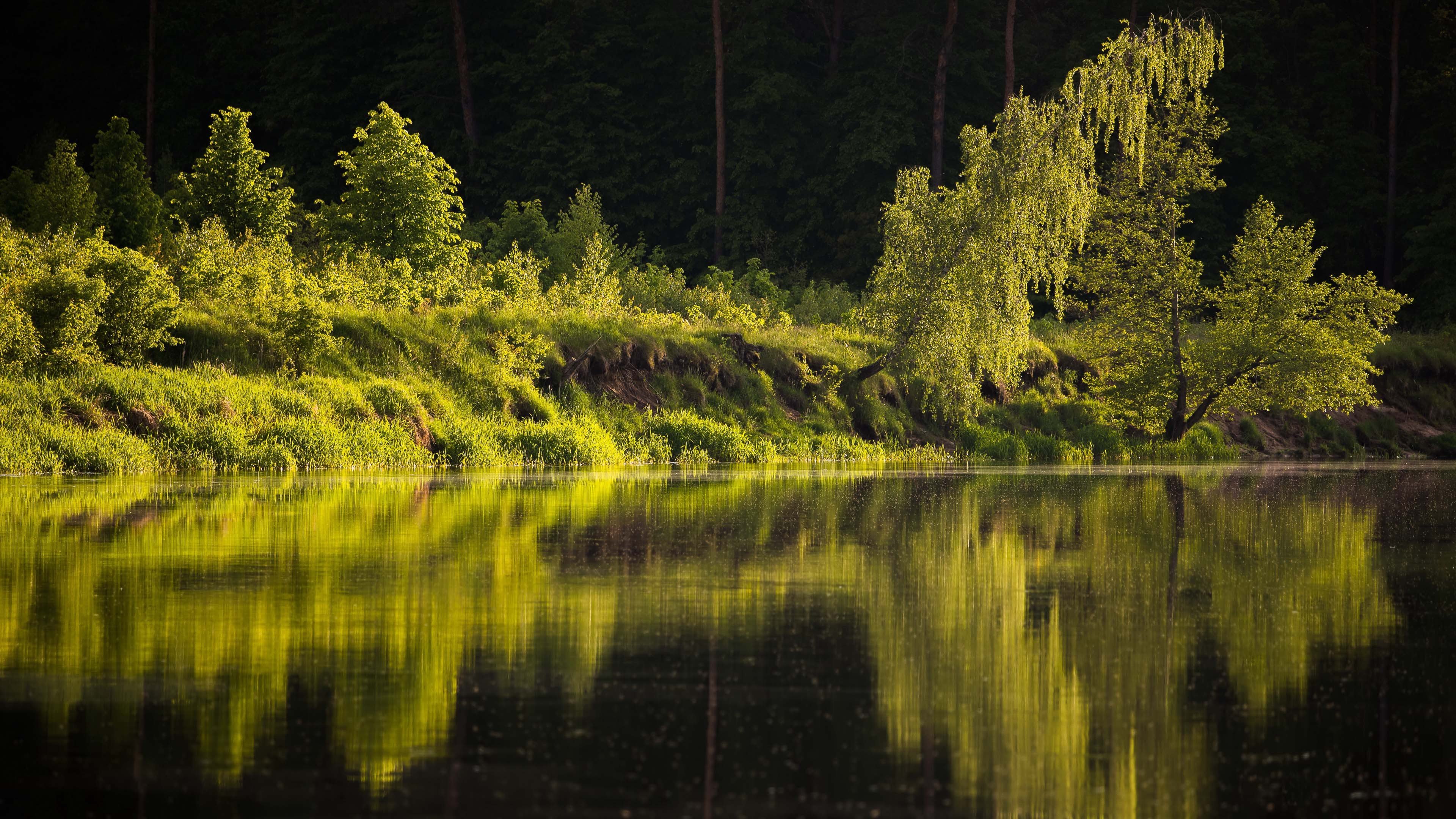 秋意正浓 倒影 微波粼粼的湖面