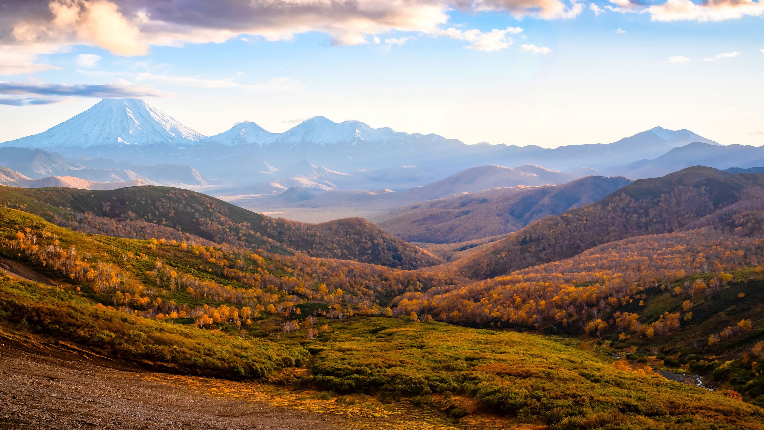 秋意正浓 丘陵 树林