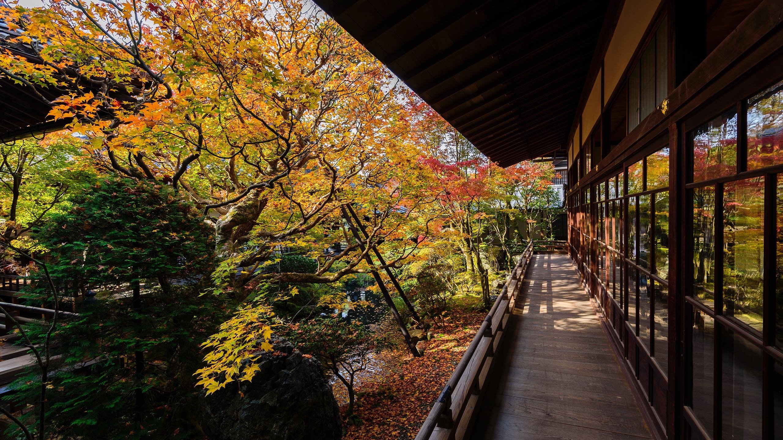 秋意正浓 园林 长廊 庭院