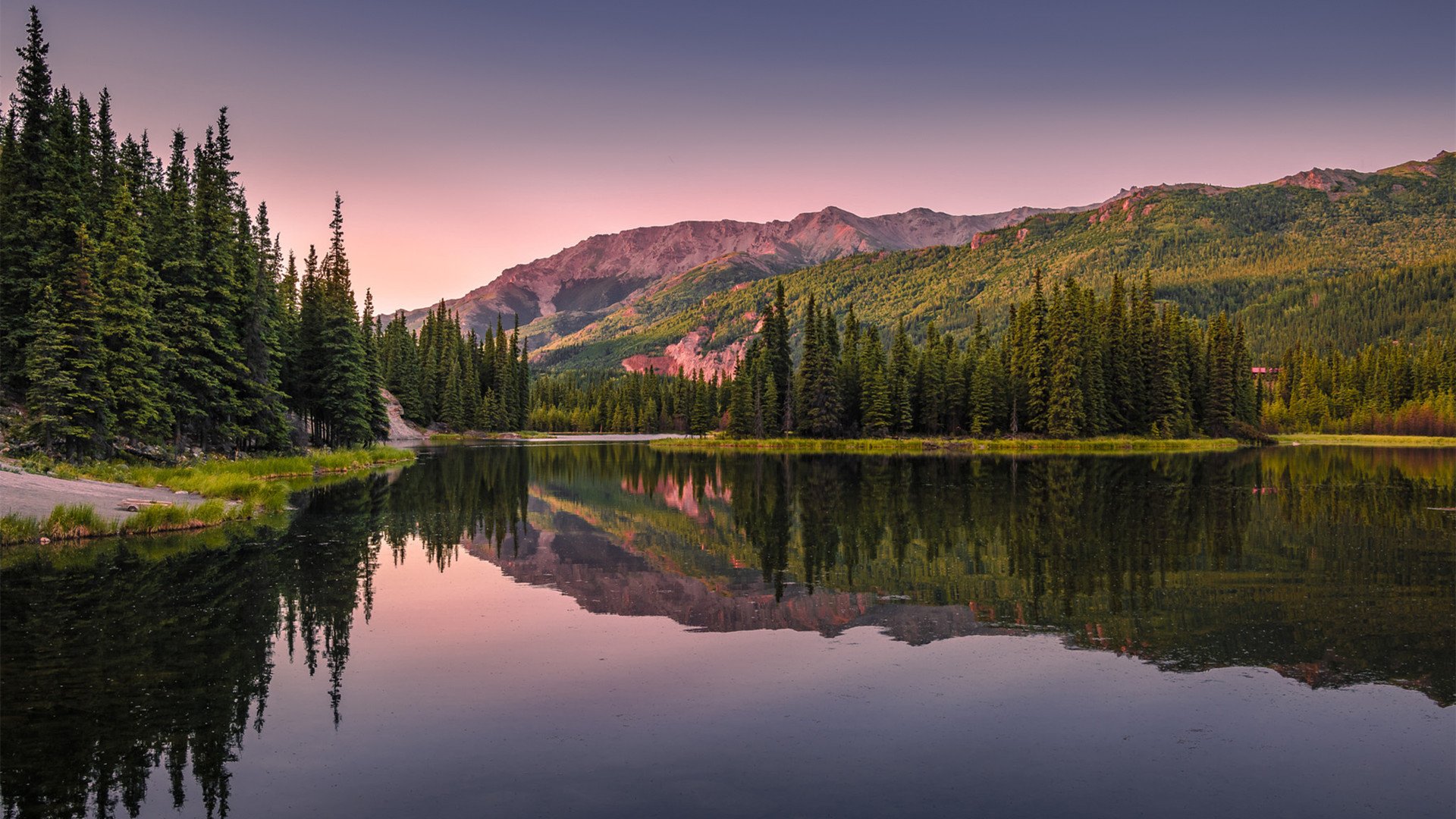 自然风光 倒影 树林 湖泊