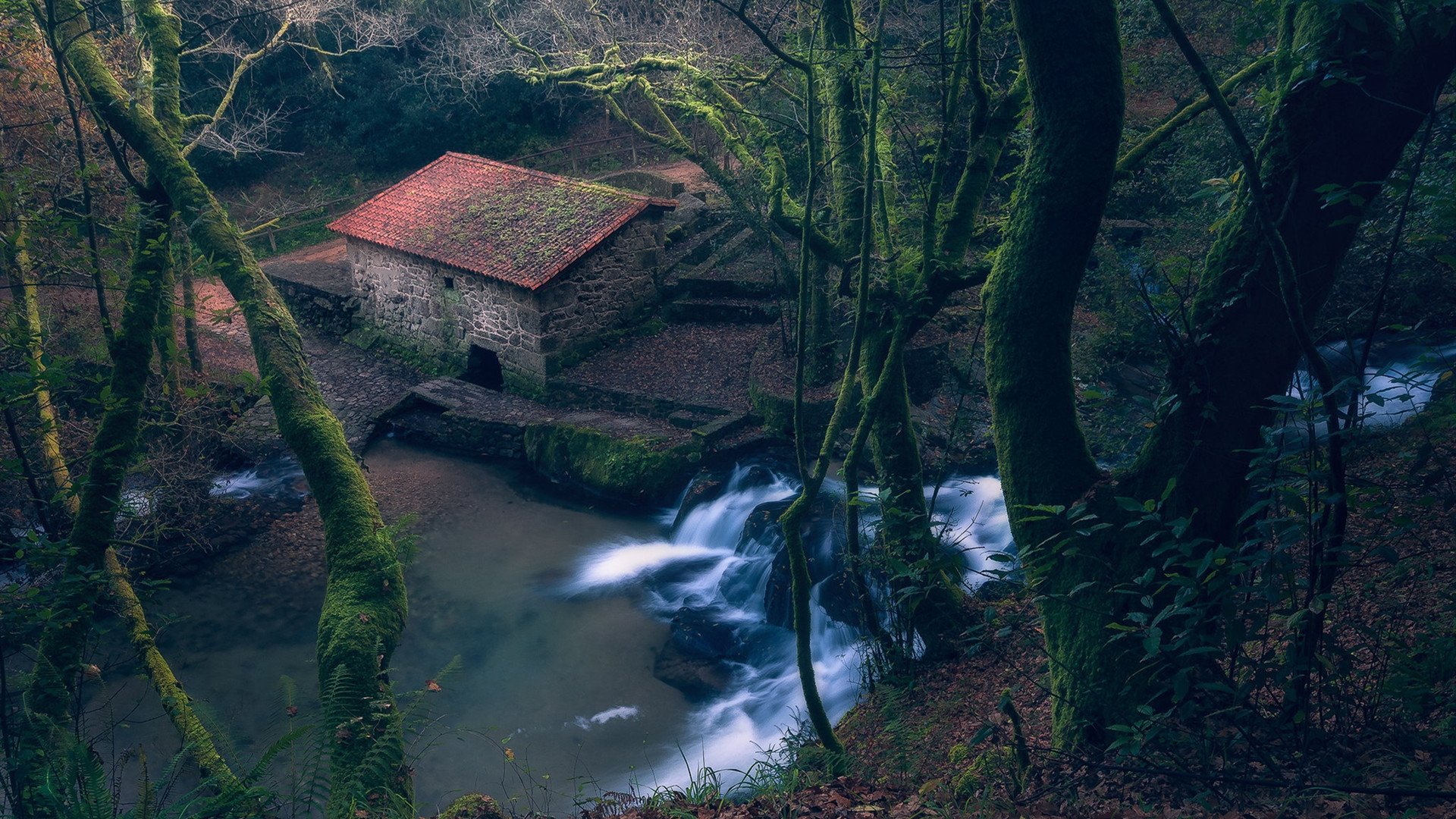 炎炎夏日 小屋 小溪