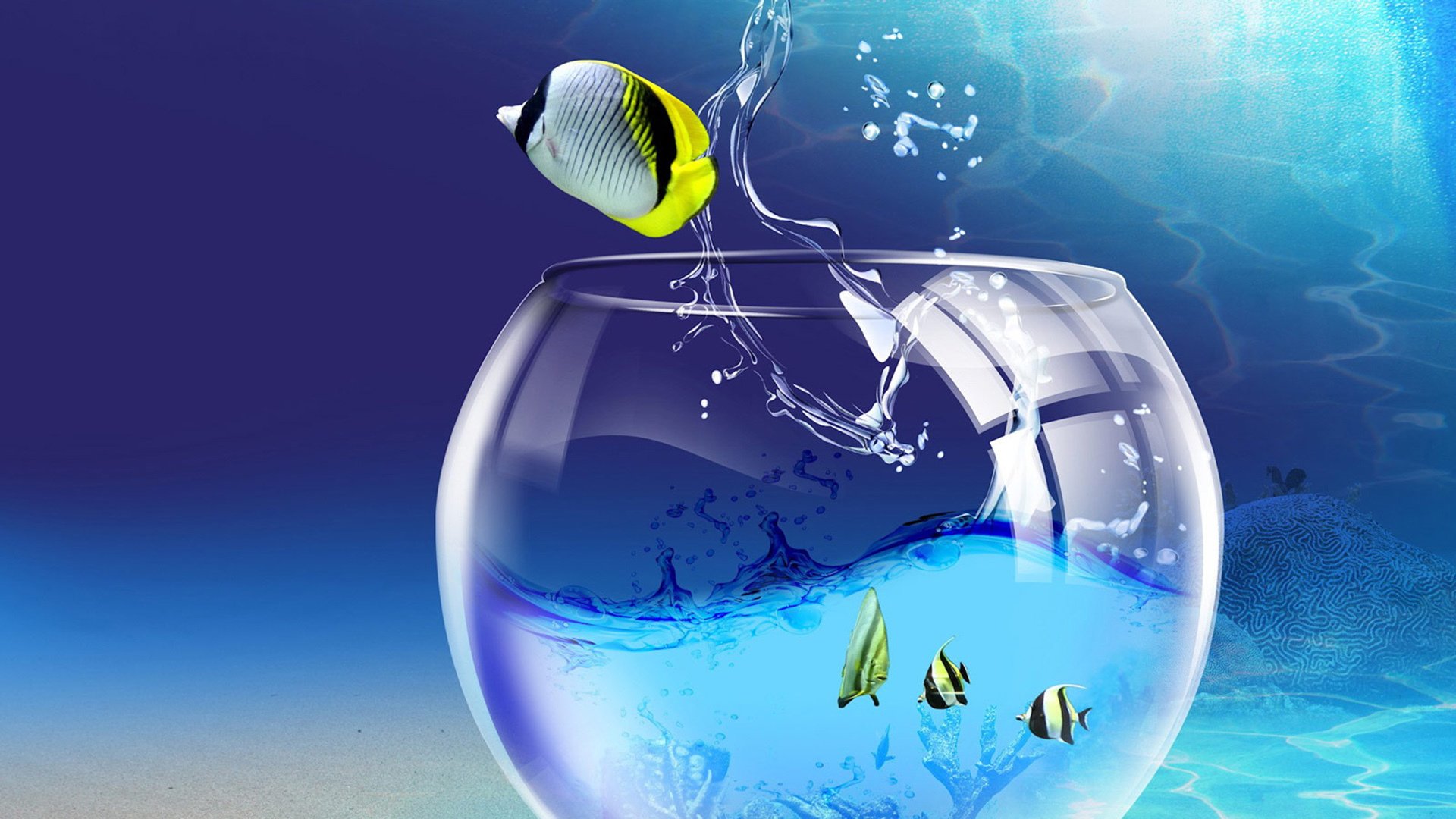 海底世界 热带鱼 神仙鱼 鱼缸