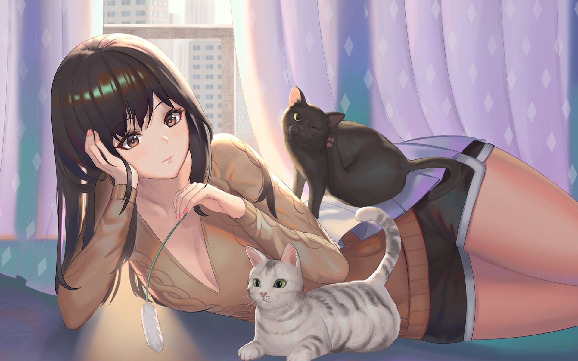 动漫  二次元  逗猫 慵懒