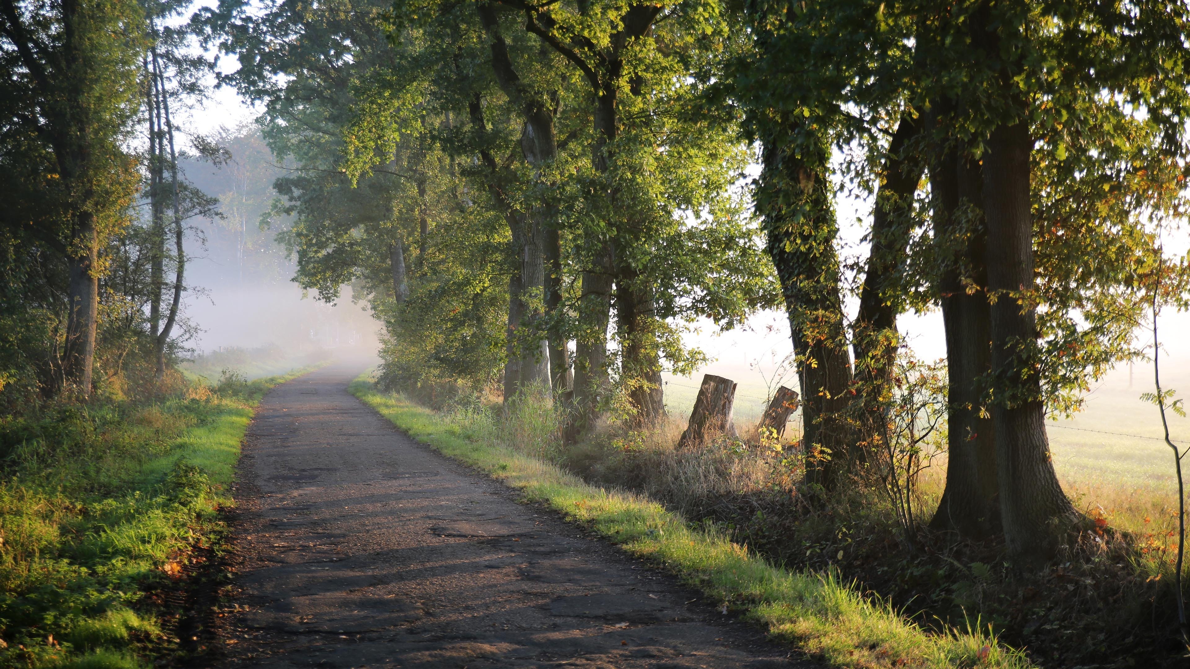自然风光 道路 清晨 大自然