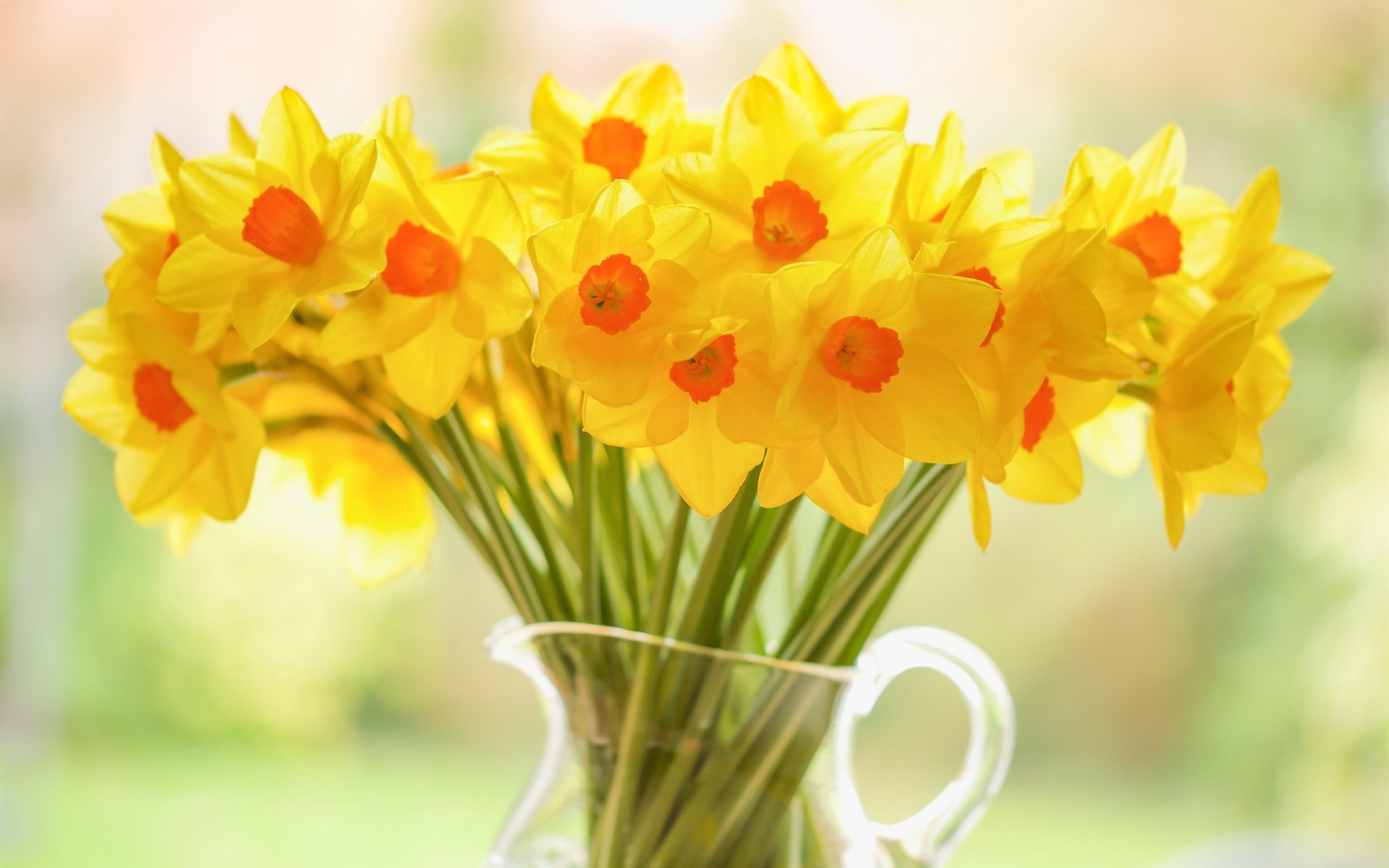 娇艳欲滴 鲜花 花瓶