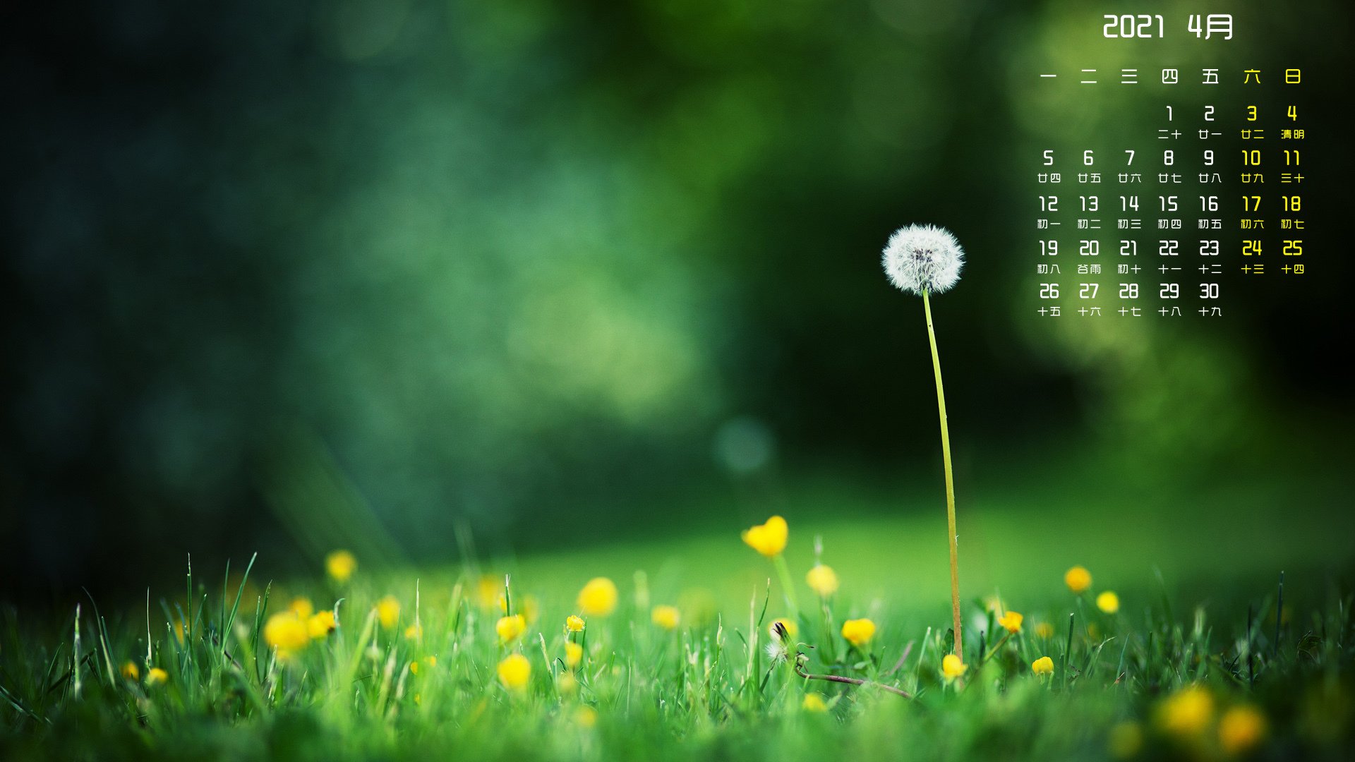 月例壁纸   4月  绿色